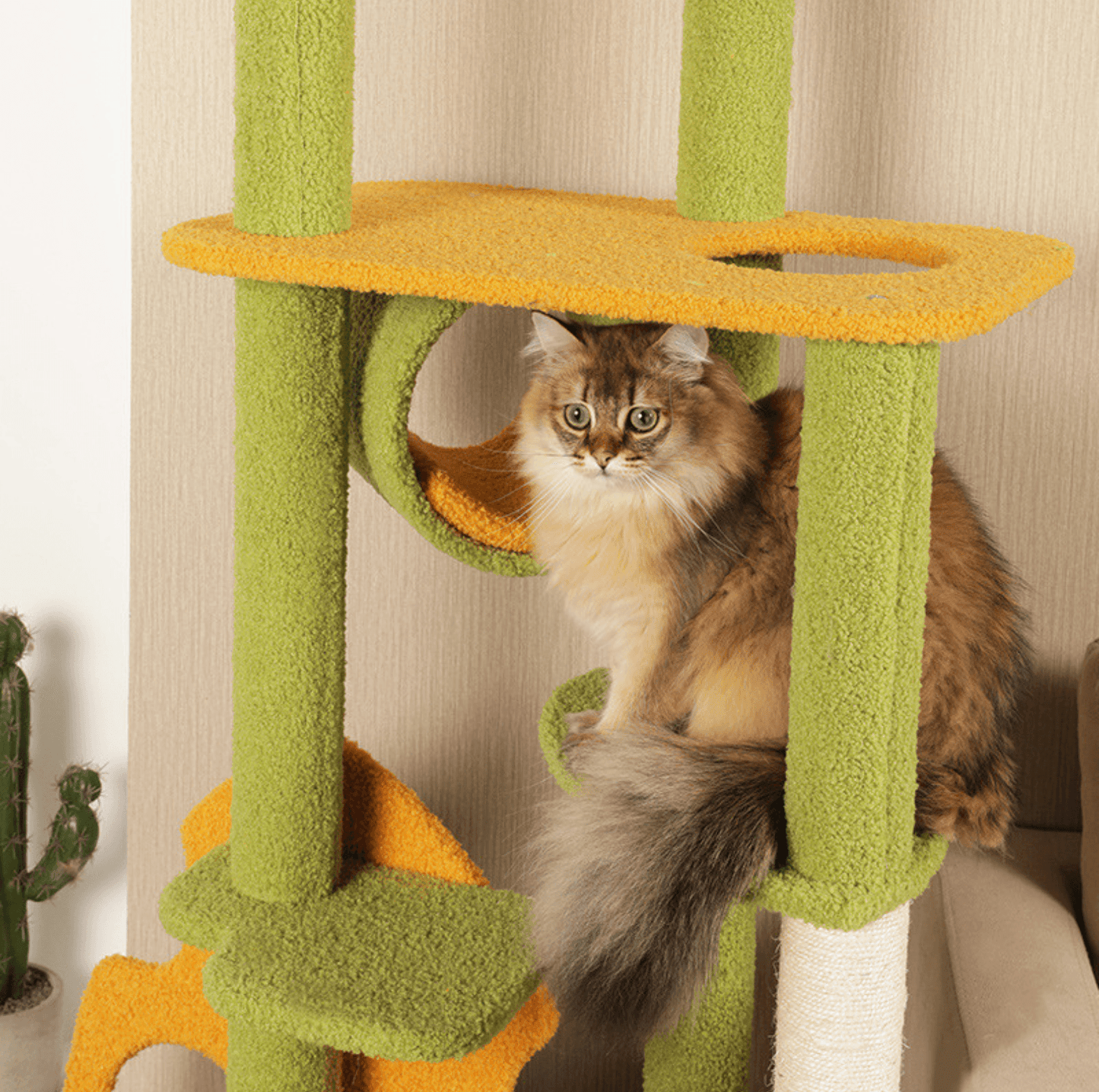 Tropical Rainforest Climbing Frame Cat Tree With Scratching Posts - {{product.type}} - PawPawUp