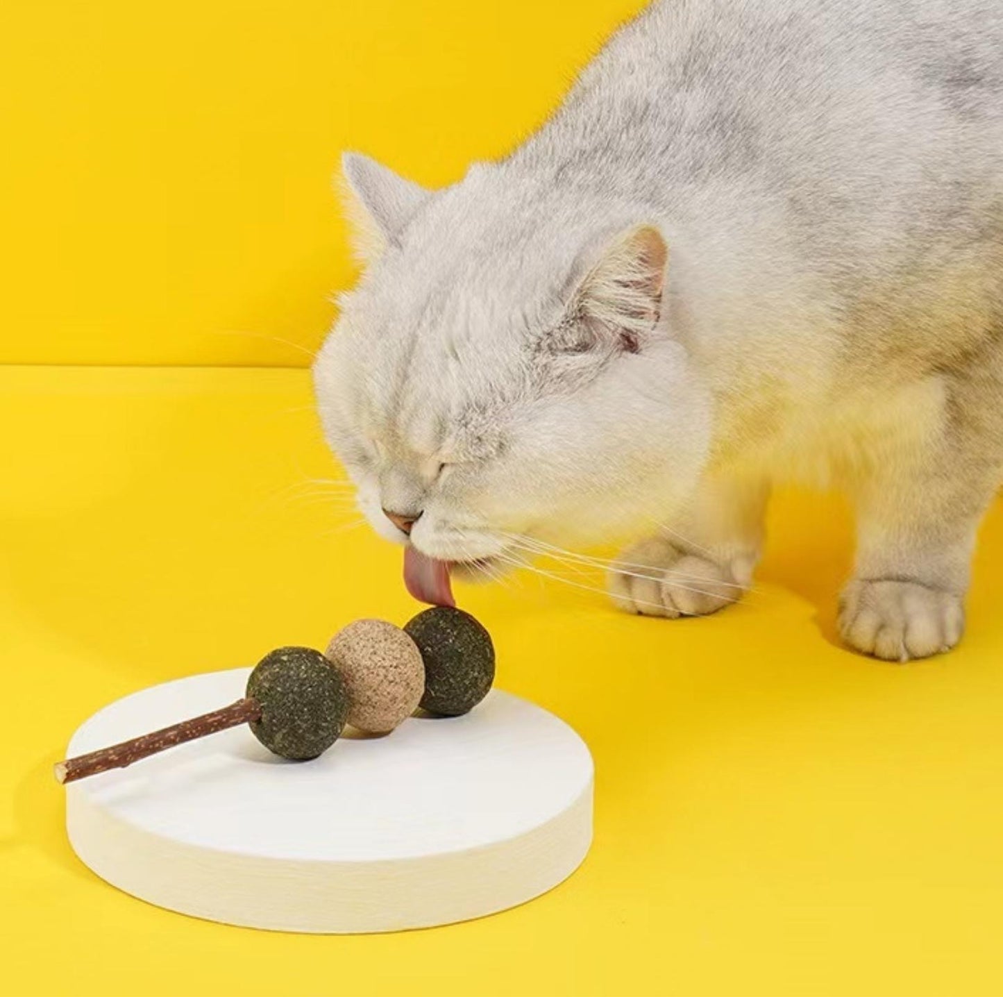 ZeZe Acorn Catnip Cat Toys Bite Resistant and Teeth Clean - {{product.type}} - PawPawUp