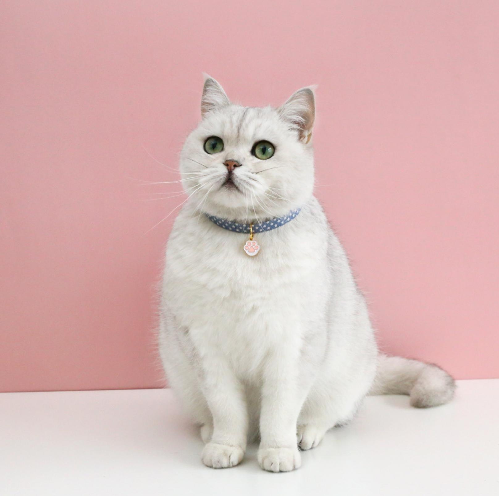 Adjustable Pet Collar with Lovely Charm and Copper Bell for Cats and Small Dogs - {{product.type}} - PawPawUp