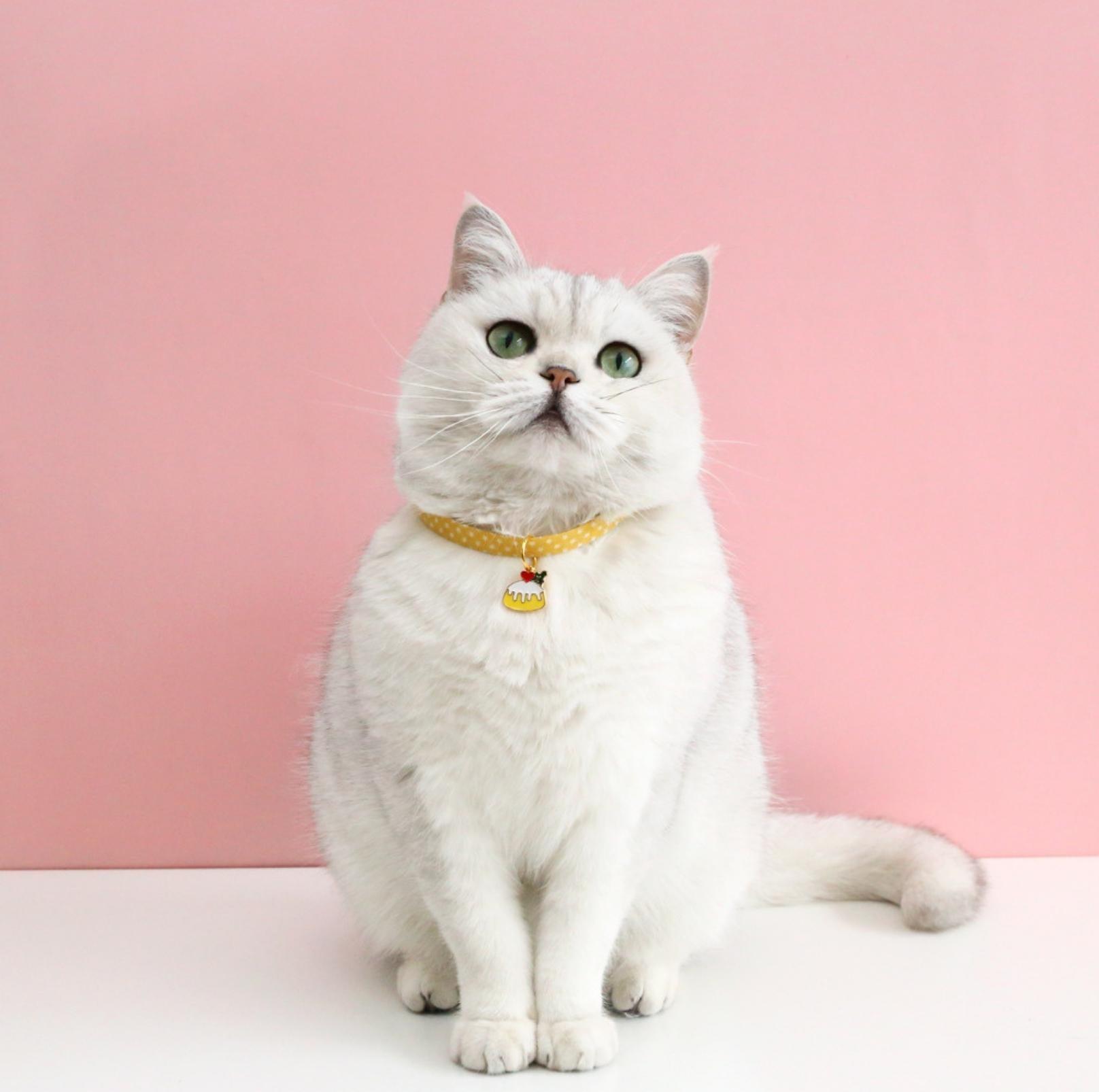 Adjustable Pet Collar with Lovely Charm and Copper Bell for Cats and Small Dogs - {{product.type}} - PawPawUp