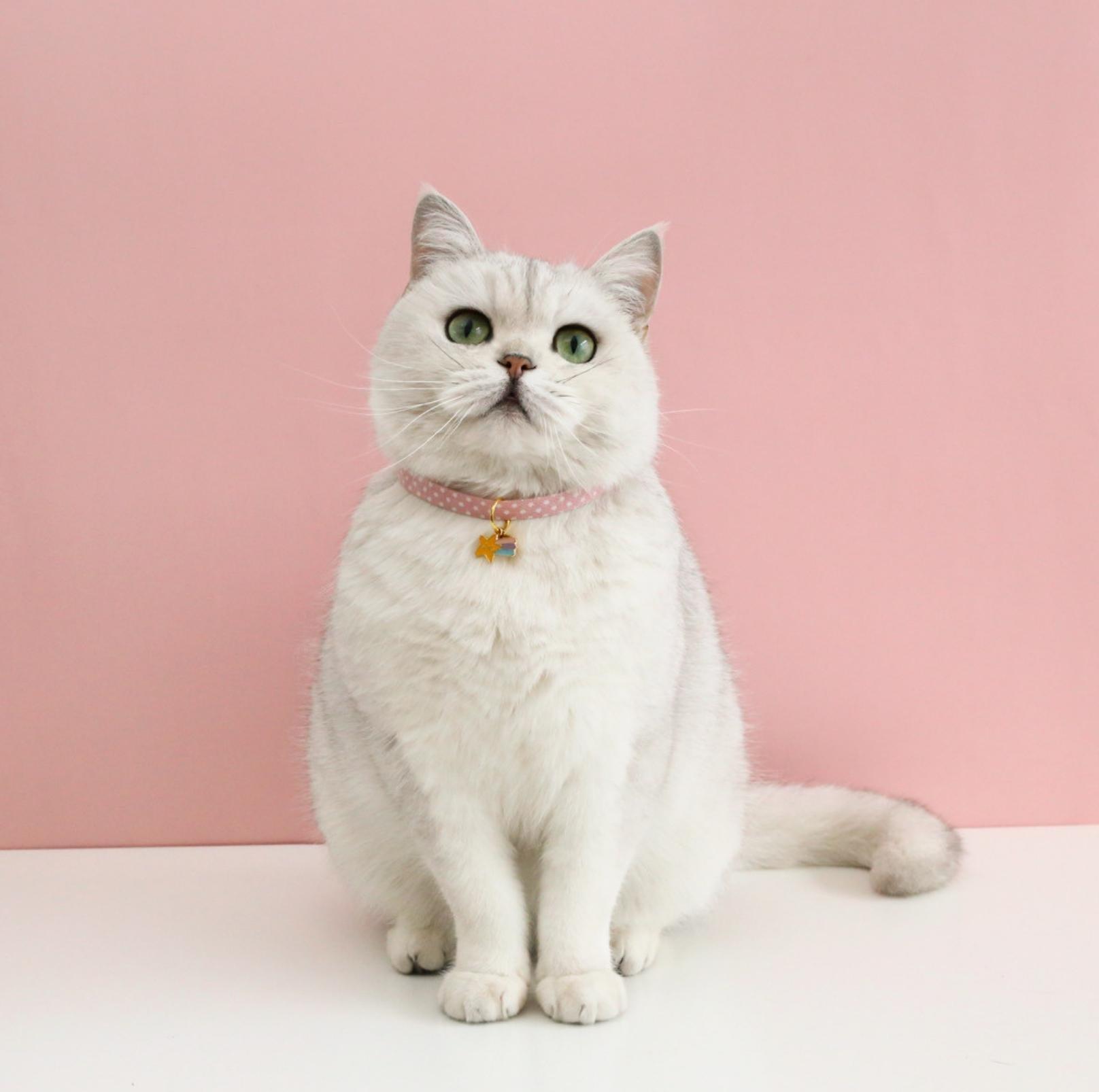 Adjustable Pet Collar with Lovely Charm and Copper Bell for Cats and Small Dogs - {{product.type}} - PawPawUp