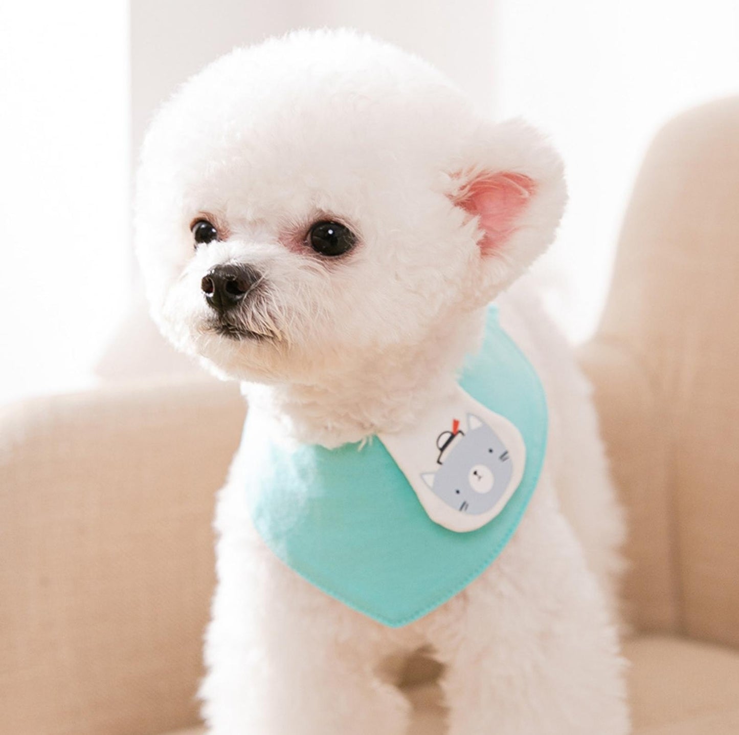 Cartoon Animal Cotton Triangular Pet Scarf Bib - {{product.type}} - PawPawUp