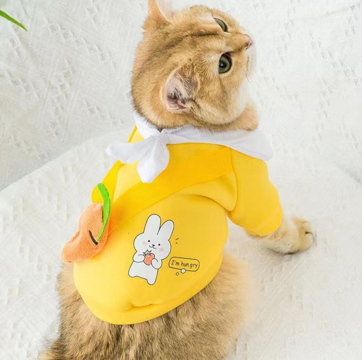 Cartoon Dog and Cat Warm Sweater With Crossbody Bag Pet Apparels - {{product.type}} - PawPawUp