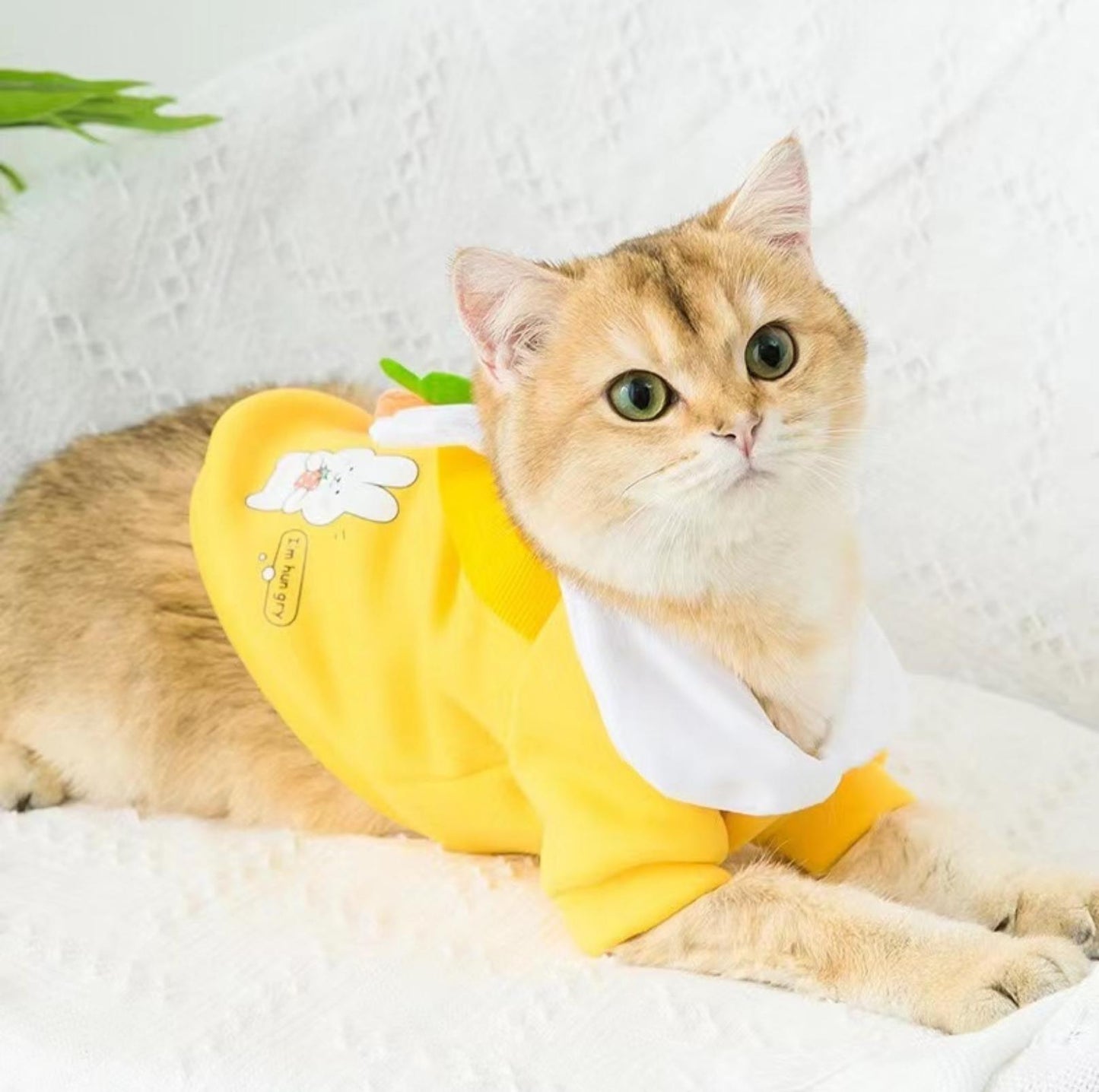 Cartoon Dog and Cat Warm Sweater With Crossbody Bag Pet Apparels - {{product.type}} - PawPawUp