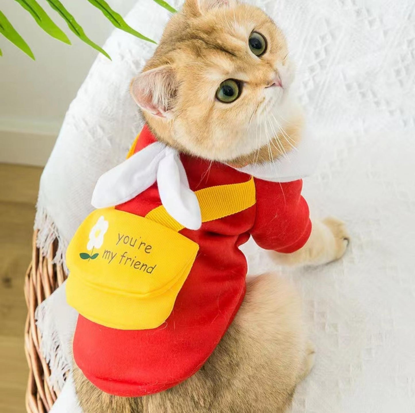 Cartoon Dog and Cat Warm Sweater With Crossbody Bag Pet Apparels - {{product.type}} - PawPawUp