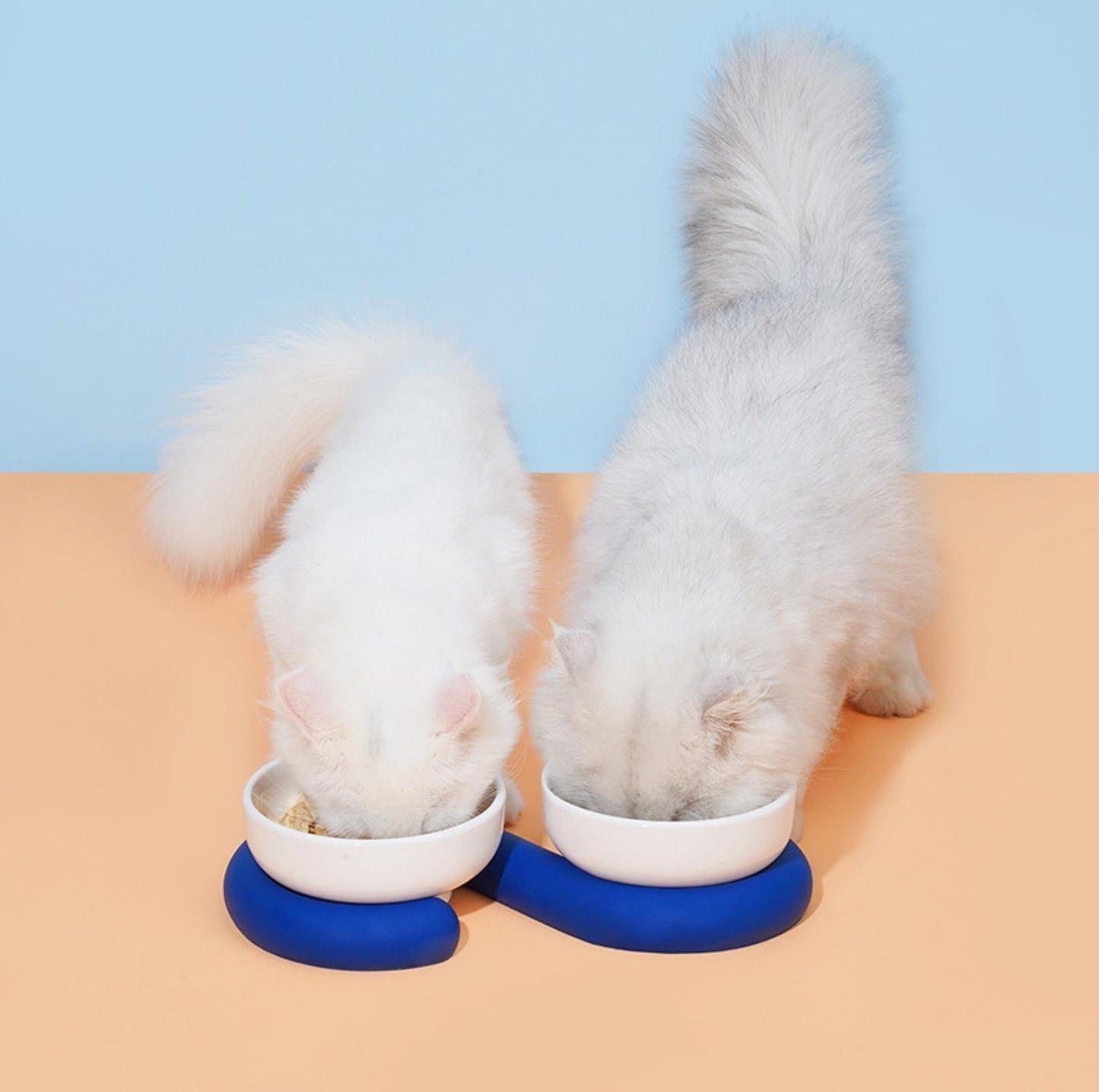 ZeZe Circle Pet Double Cat Bowls and Dog Bowls - {{product.type}} - PawPawUp