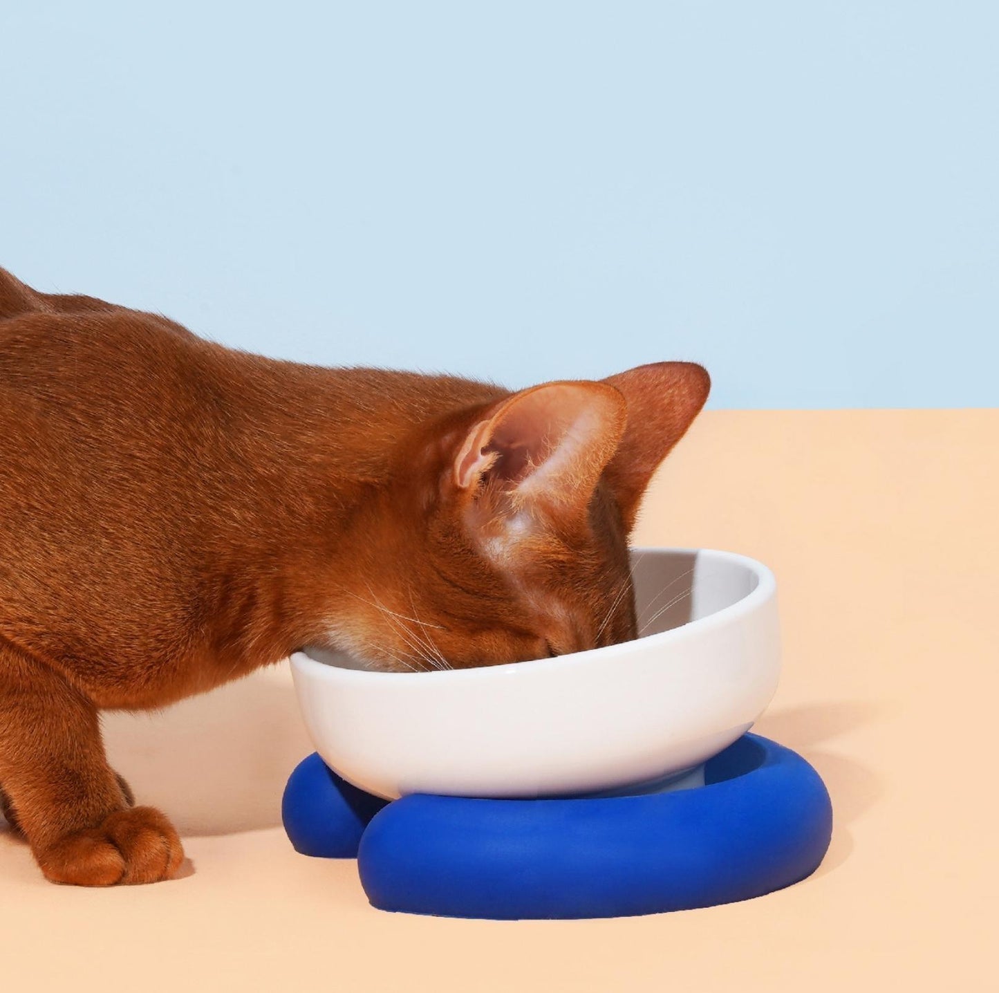ZeZe Circle Pet Double Cat Bowls and Dog Bowls - {{product.type}} - PawPawUp