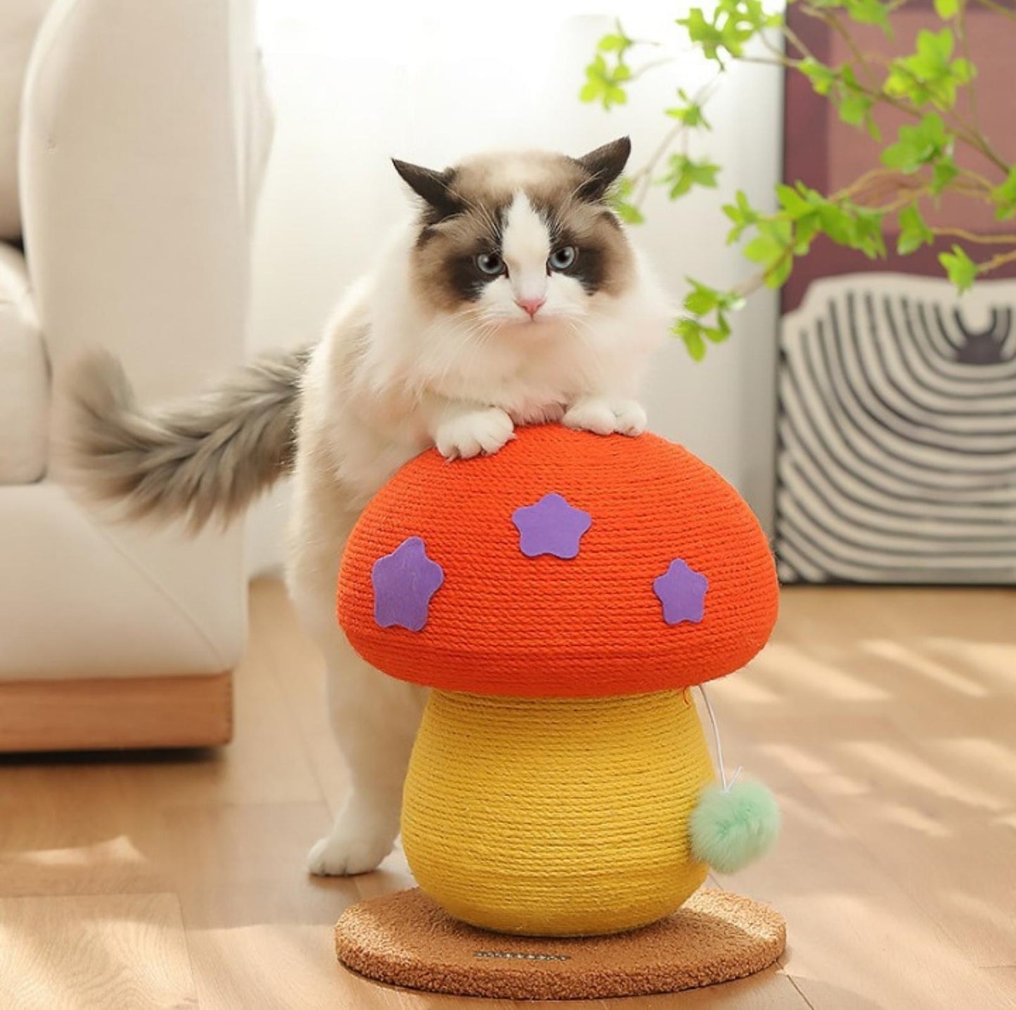 Colourful Mushroom Cat Scratching Post with Dangling Toy - Cat Scratcher - {{product.type}} - PawPawUp