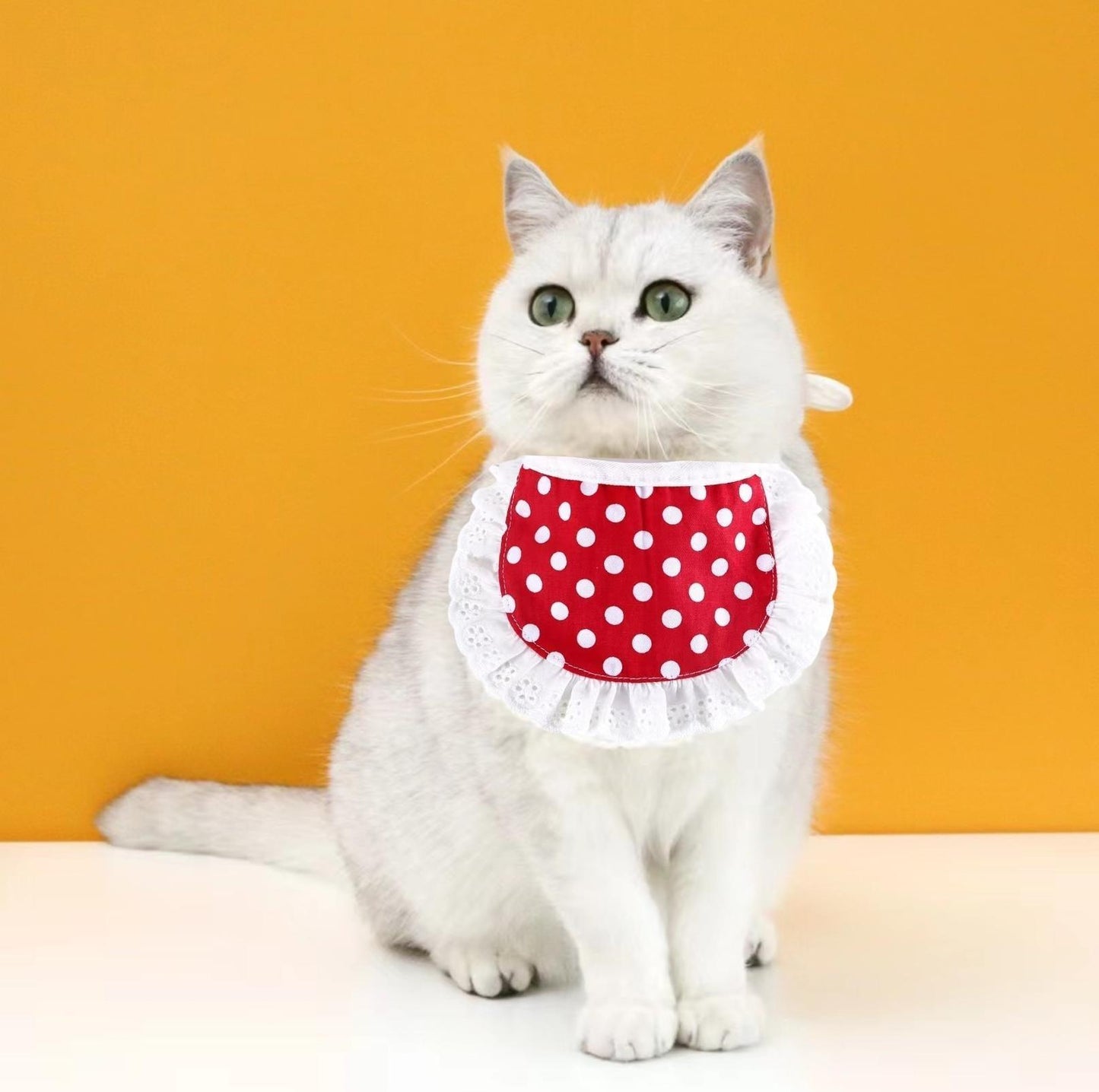 Cute Adjustable Cotton Pet Bibs In Multiple Designs - {{product.type}} - PawPawUp
