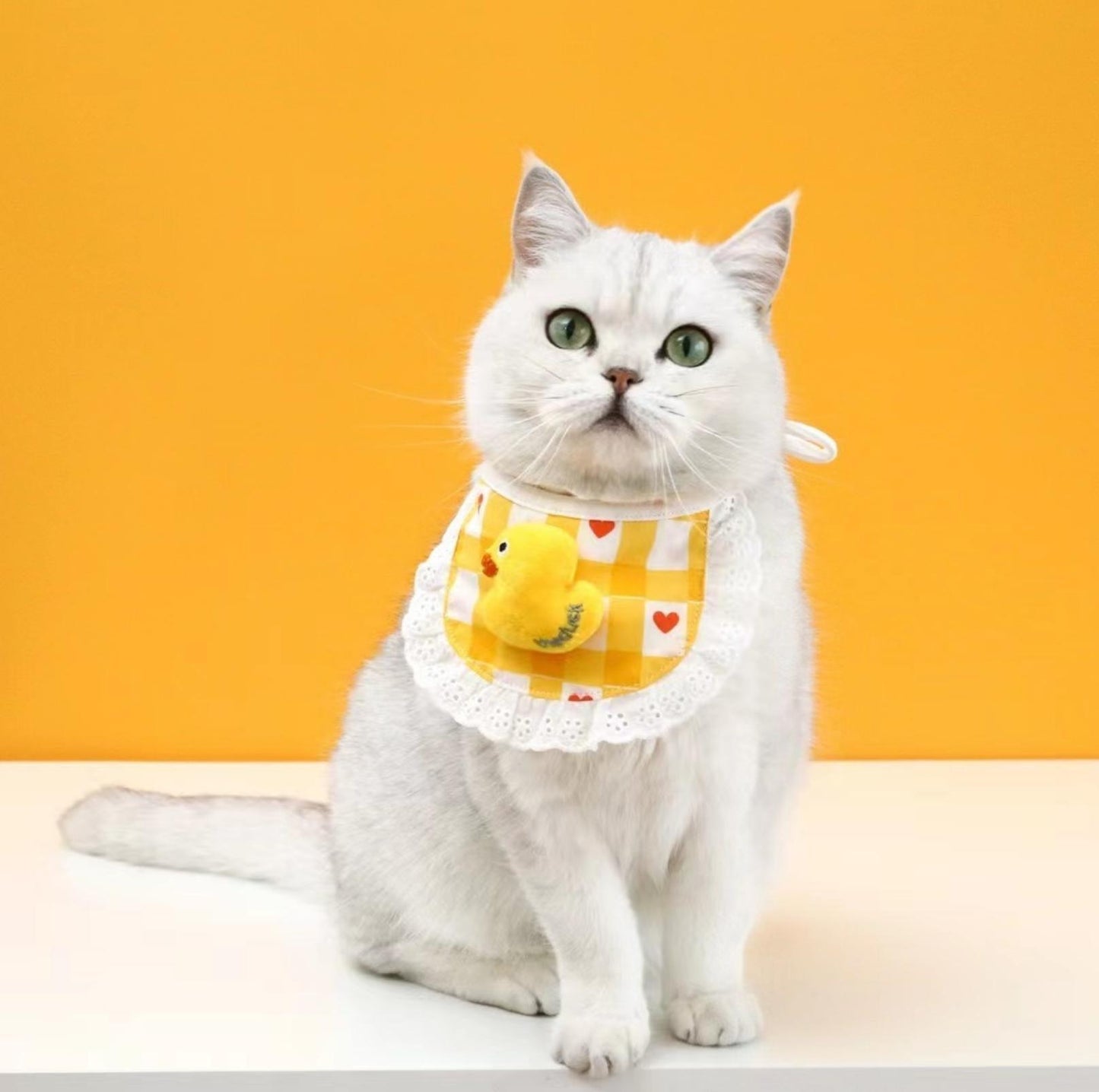 Cute Adjustable Cotton Pet Bibs In Multiple Designs - {{product.type}} - PawPawUp