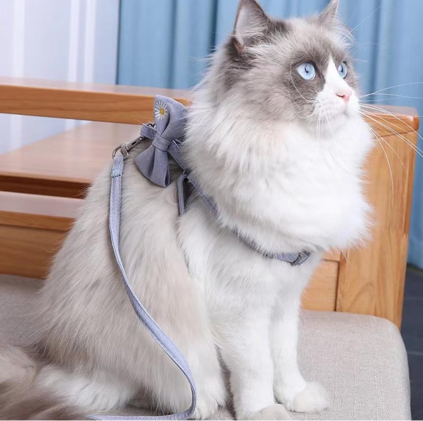 Cute Bow Pet Chest Harness and Leash | Stylish and Durable - {{product.type}} - PawPawUp