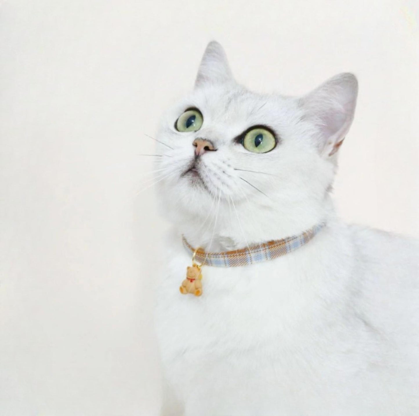 Cute Cherry And Bear Styled Pet Collar - Adjustable Neck Size - {{product.type}} - PawPawUp