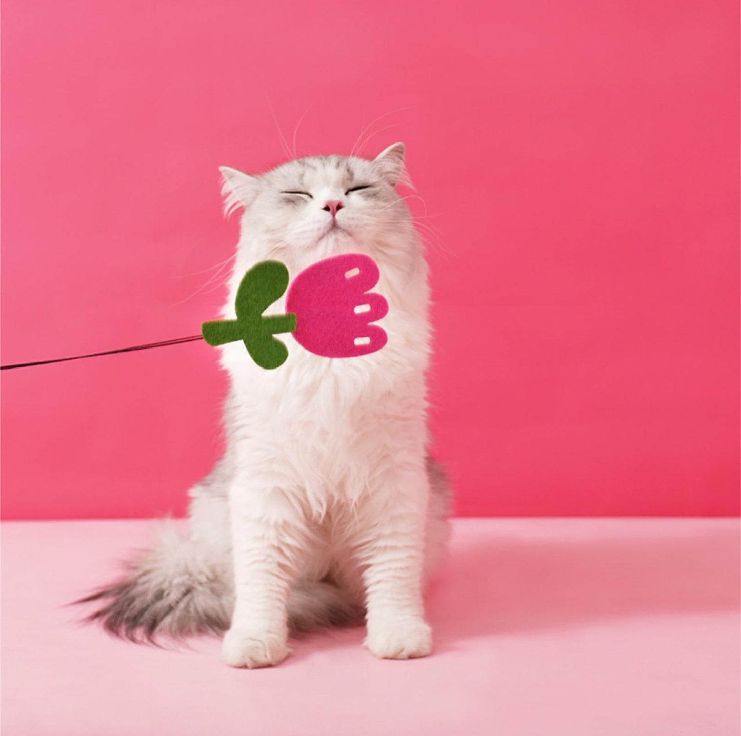 ZeZe Cute Felt Wool Cat Stick Cat Toys - {{product.type}} - PawPawUp