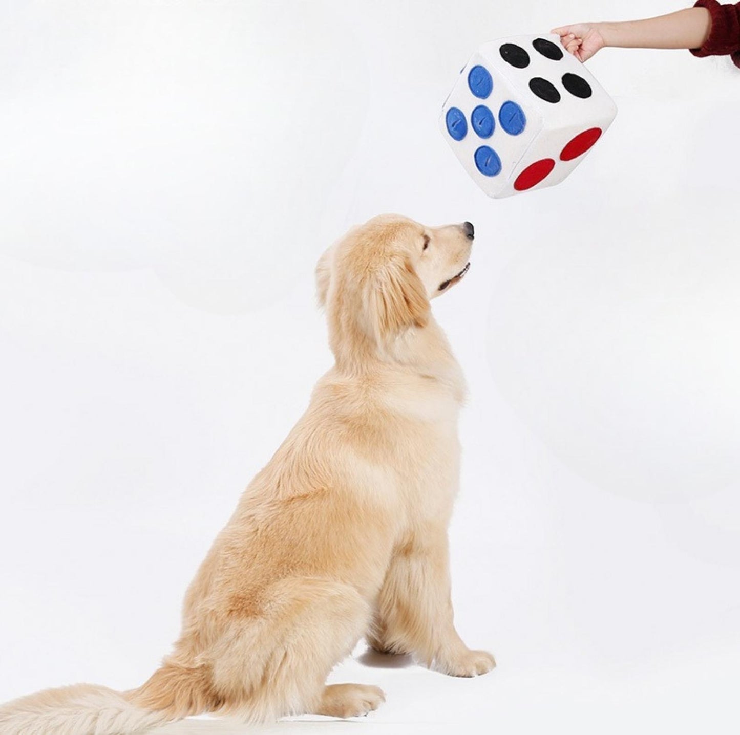 Dice Style Plush Pet Snuffling Toy Dog Intelligence and Slow-Eating Training Toy - {{product.type}} - PawPawUp