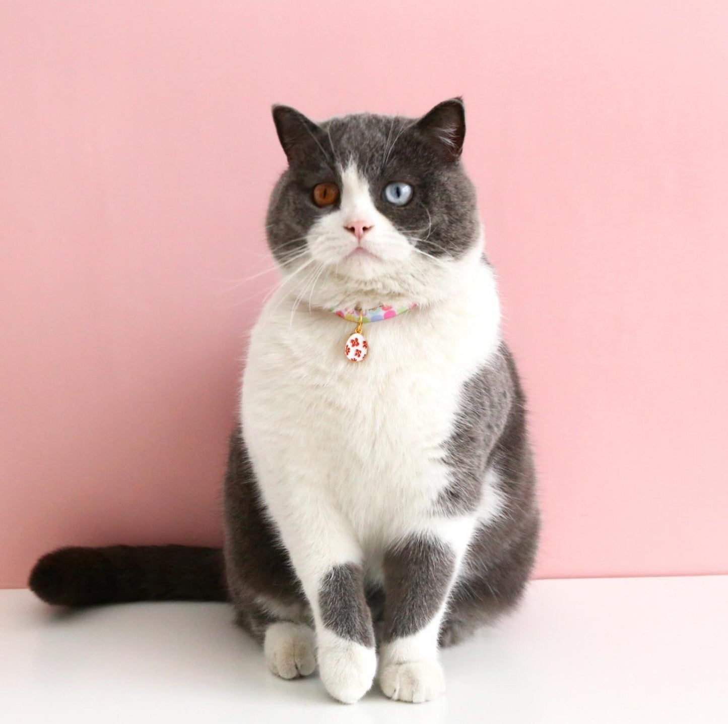 Easter Egg Design Adjustable Pet Collar - {{product.type}} - PawPawUp
