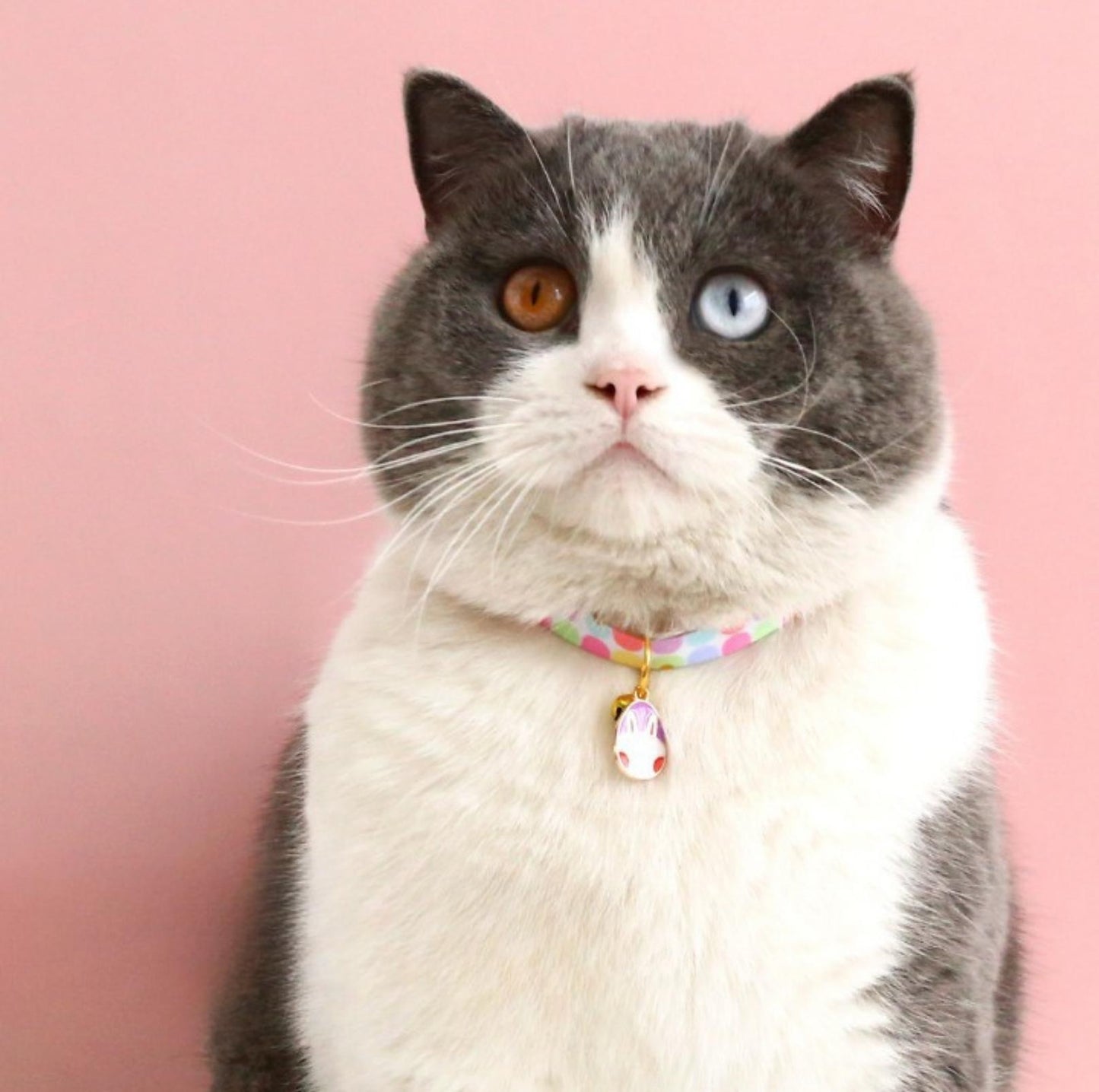 Easter Egg Design Adjustable Pet Collar - {{product.type}} - PawPawUp
