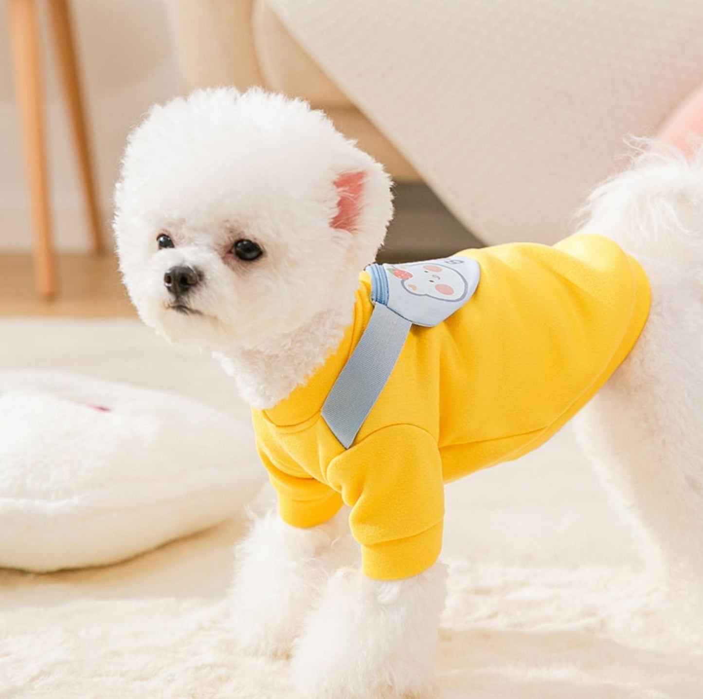 Fashion Warm Dog and Cat Sweater With Crossbody Bag Pet Apparel - {{product.type}} - PawPawUp