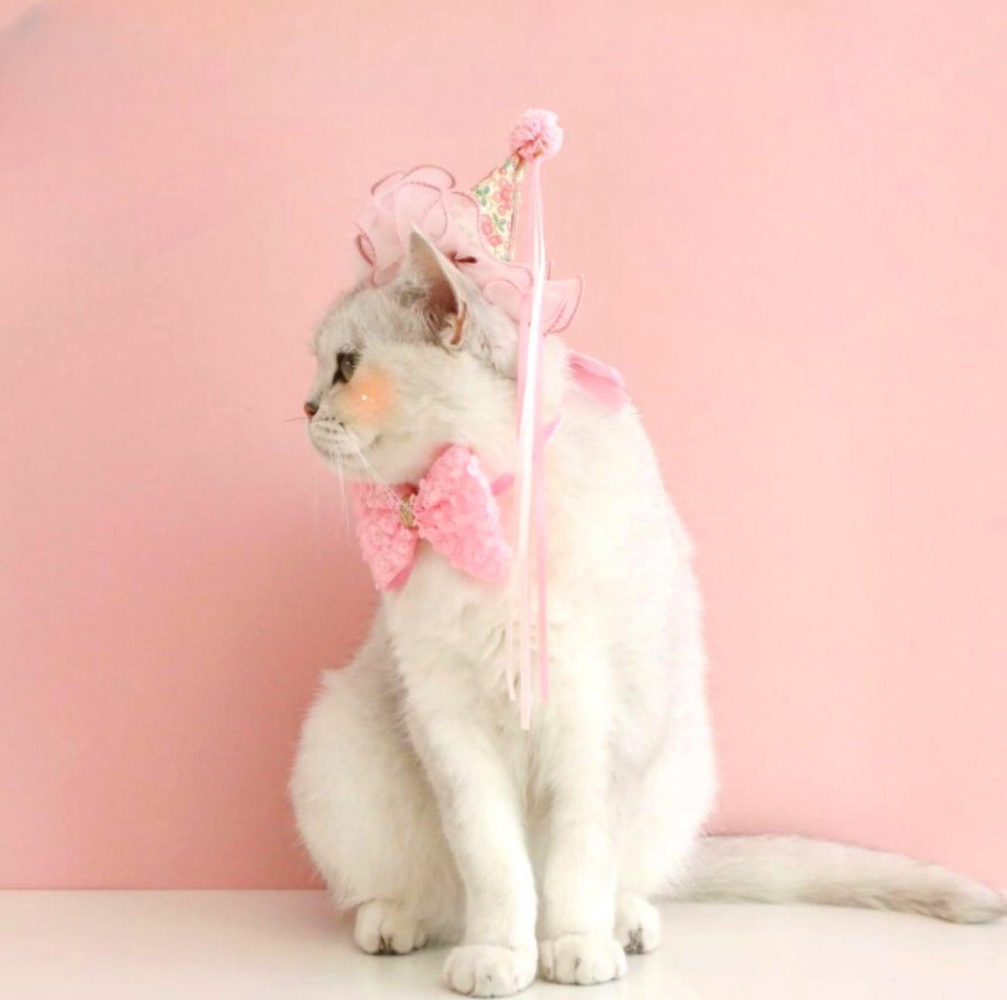 Floral Mesh Lace Accessory Set: Pet Birthday Hat & Bow Tie Combo - {{product.type}} - PawPawUp