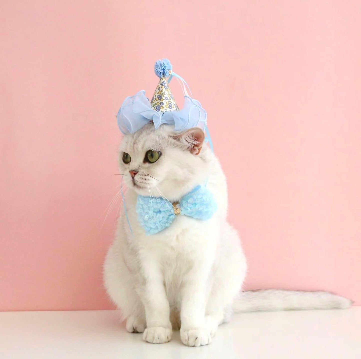 Floral Mesh Lace Accessory Set: Pet Birthday Hat & Bow Tie Combo - {{product.type}} - PawPawUp