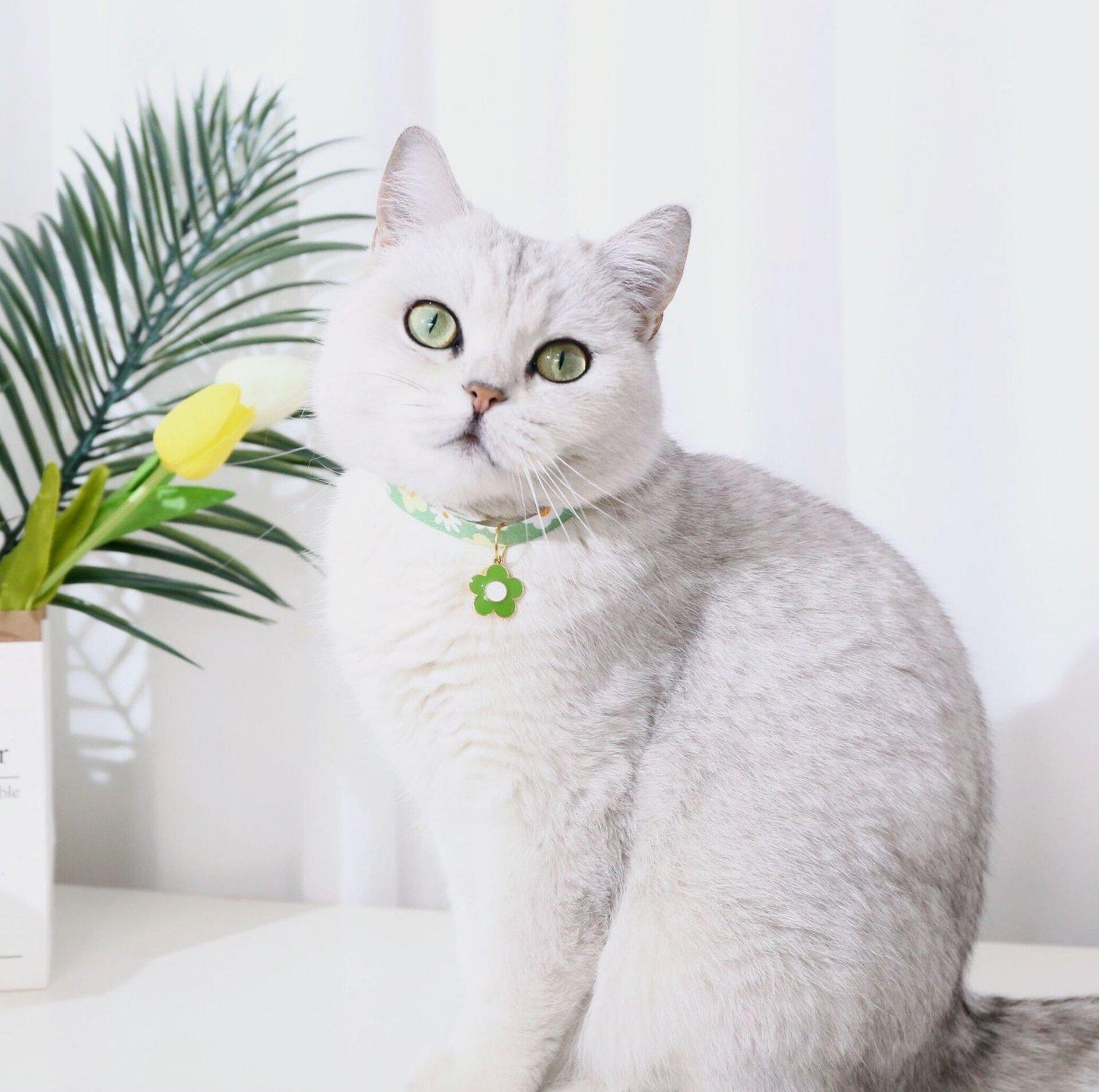 Flower Series Pendant Style Adjustable Pet Collar - {{product.type}} - PawPawUp