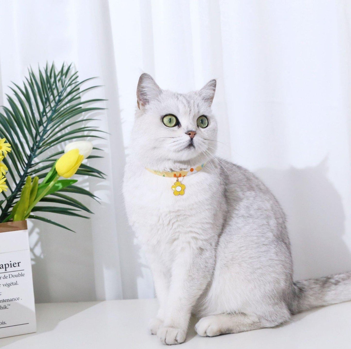 Flower Series Pendant Style Adjustable Pet Collar - {{product.type}} - PawPawUp