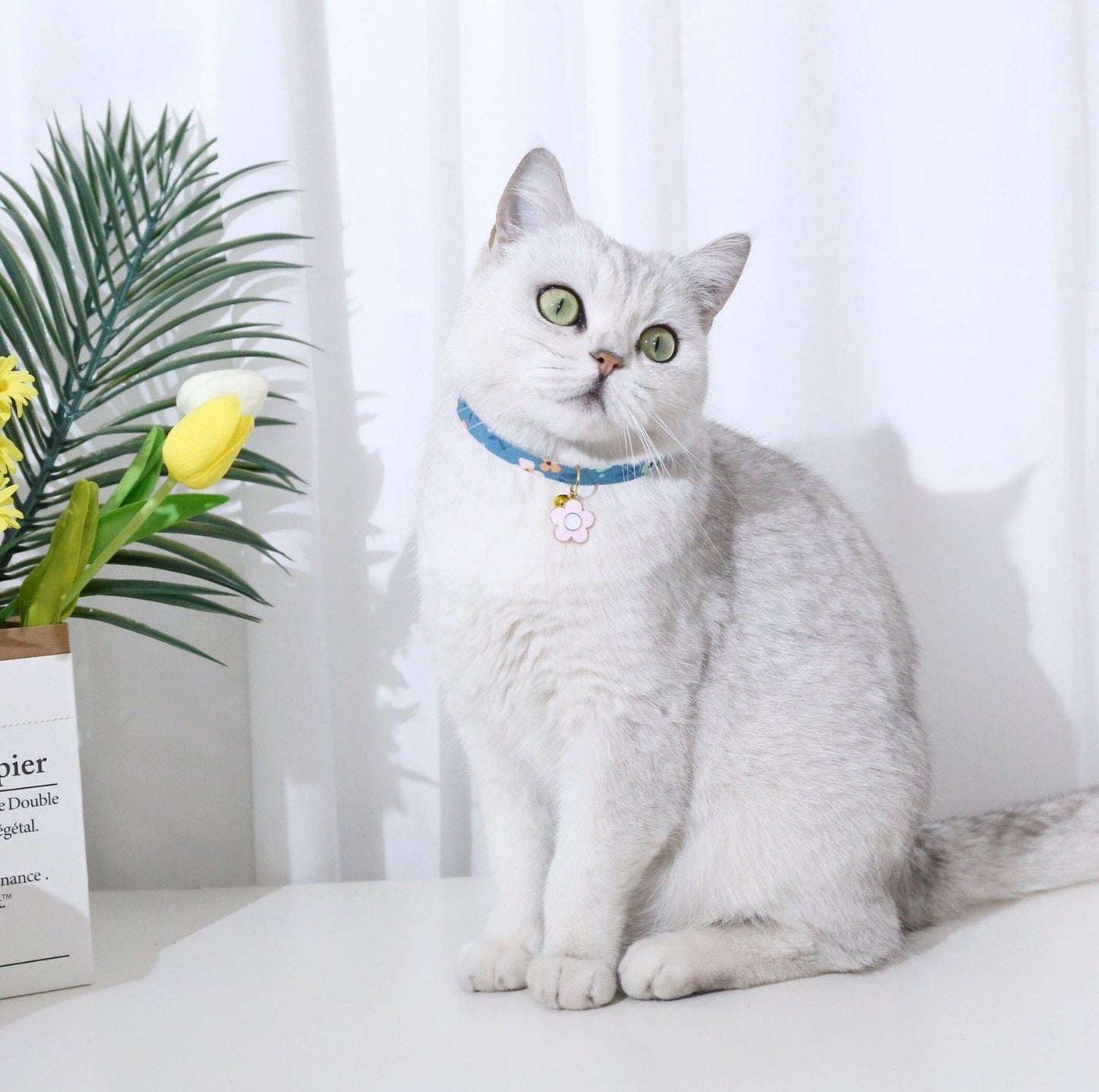 Flower Series Pendant Style Adjustable Pet Collar - {{product.type}} - PawPawUp
