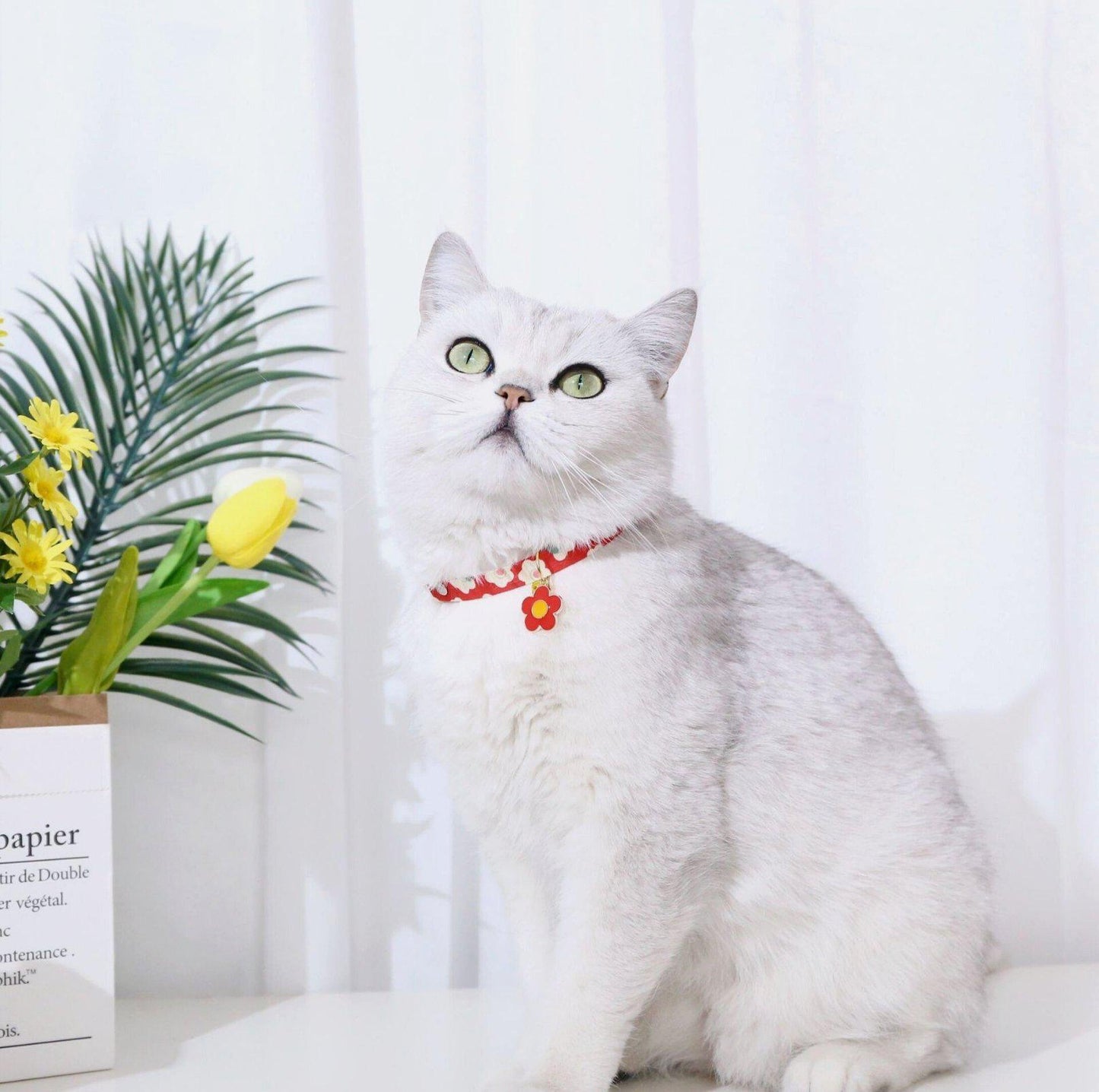 Flower Series Pendant Style Adjustable Pet Collar - {{product.type}} - PawPawUp