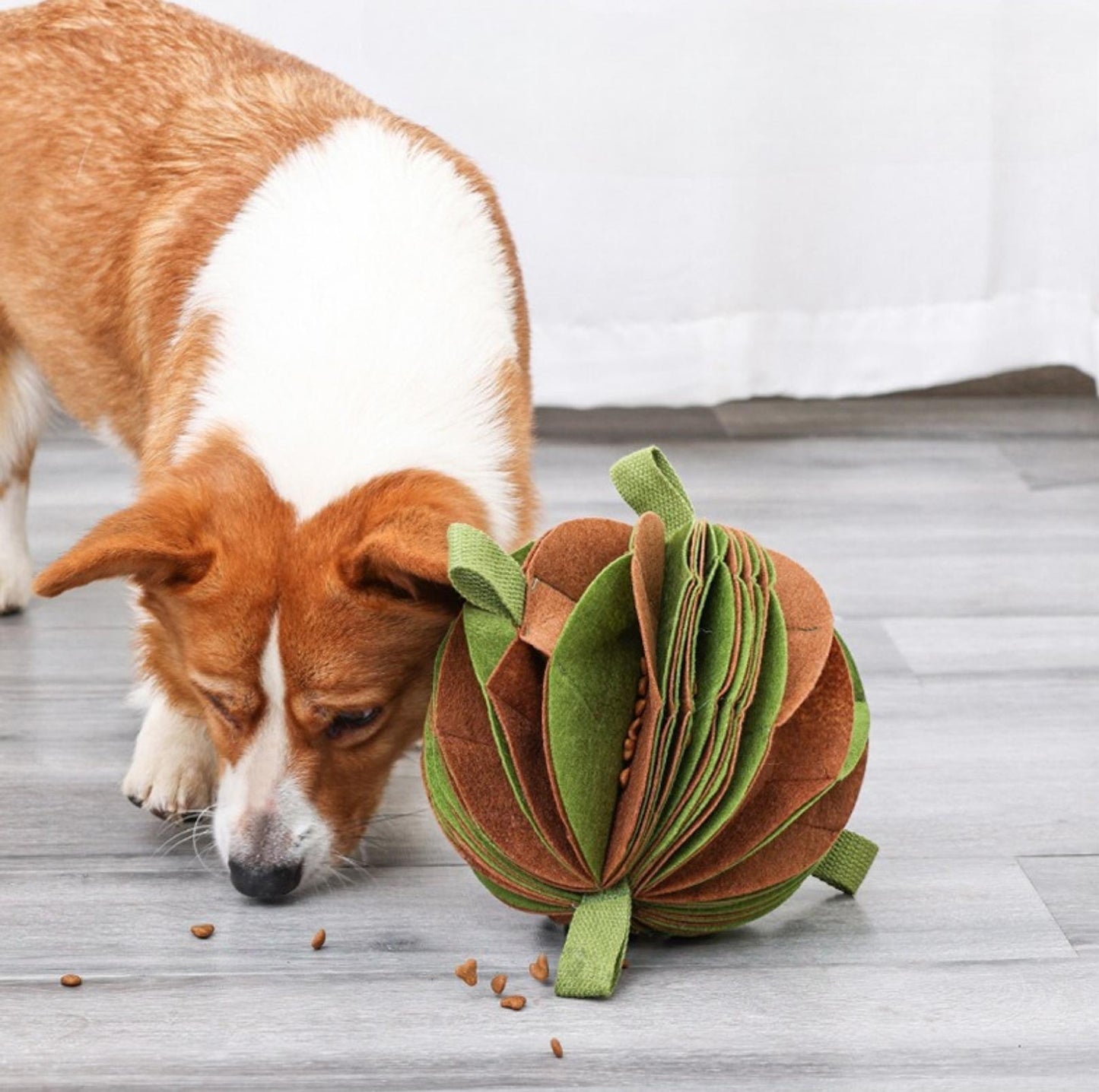 Foldable Ball-Shape Round Pet Snuffle Mat Dog Puzzle Training Toy - {{product.type}} - PawPawUp