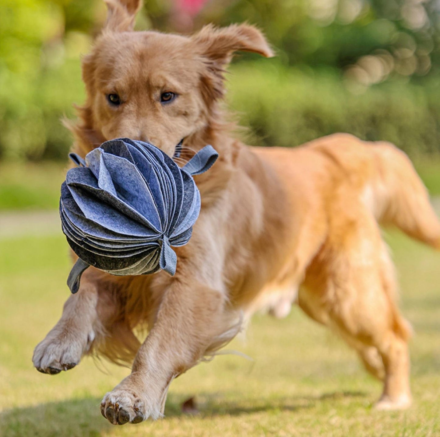 Foldable Ball-Shape Round Pet Snuffle Mat Dog Puzzle Training Toy - {{product.type}} - PawPawUp
