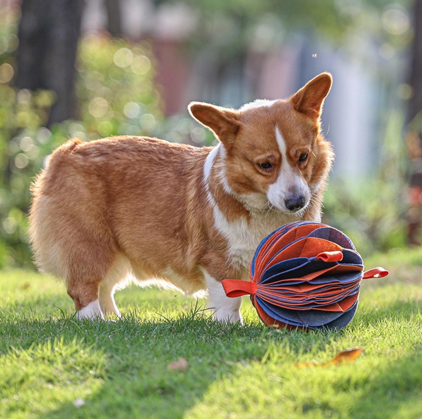 Foldable Ball-Shape Round Pet Snuffle Mat Dog Puzzle Training Toy - {{product.type}} - PawPawUp