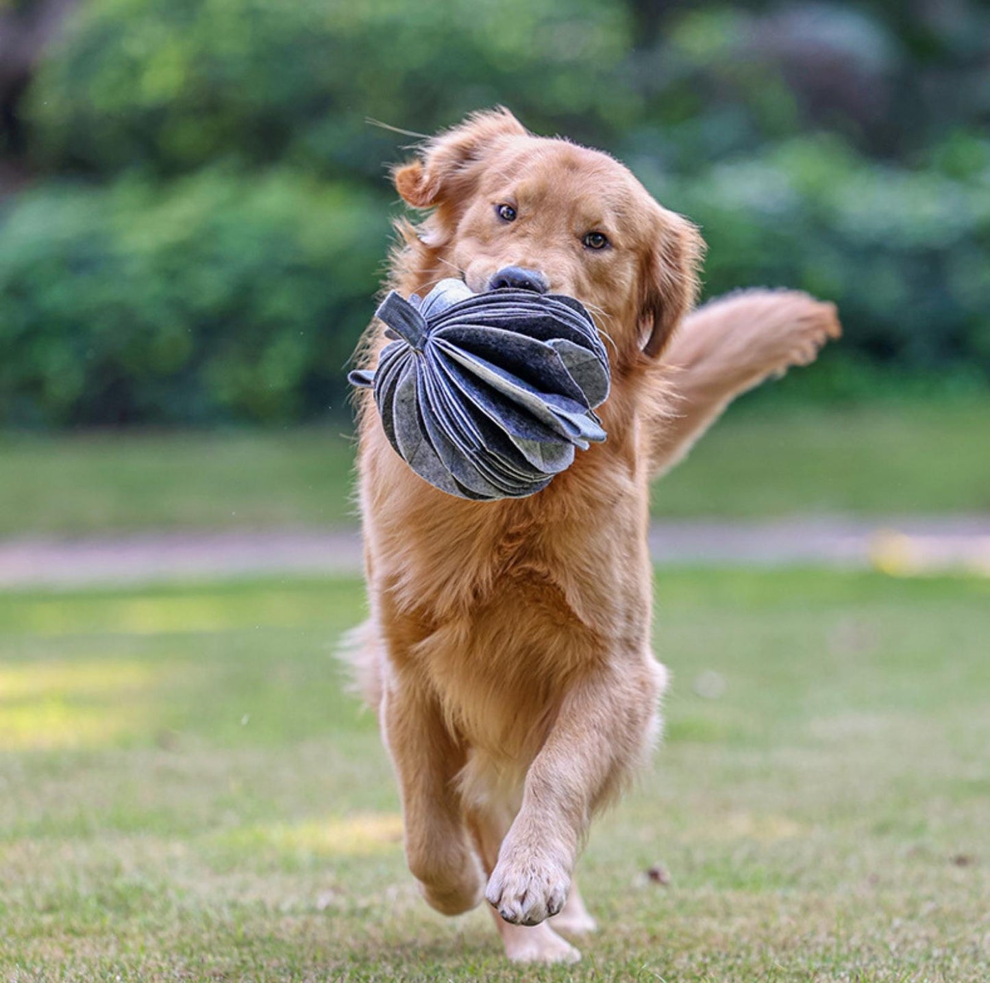 Foldable Ball-Shape Round Pet Snuffle Mat Dog Puzzle Training Toy - {{product.type}} - PawPawUp