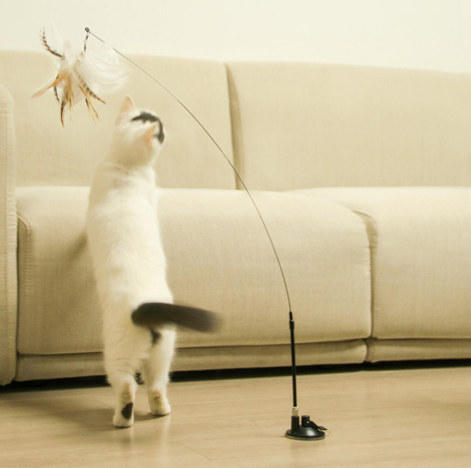 Free Your Hands: Extended Elastic Wire Cat Stick Teaser Cat Toys - {{product.type}} - PawPawUp