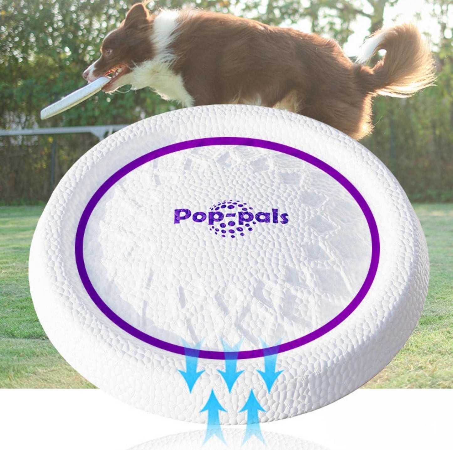 GiGwi Pop-Pals - Everlasting Flying Disc/Ring Dog Toy - {{product.type}} - PawPawUp