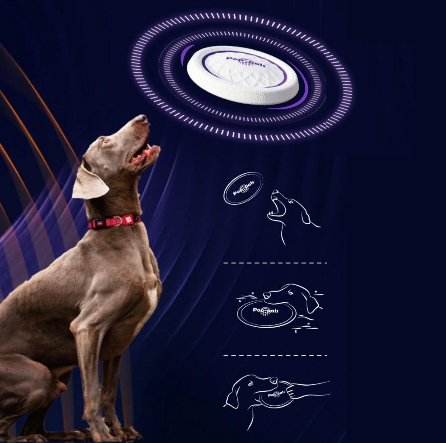 GiGwi Pop-Pals - Everlasting Flying Disc/Ring Dog Toy - {{product.type}} - PawPawUp
