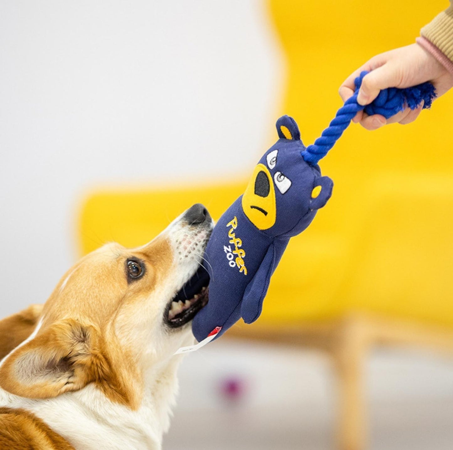 GiGwi Zoo Series - Canvas Tug Dog Toy with Squeaker - {{product.type}} - PawPawUp
