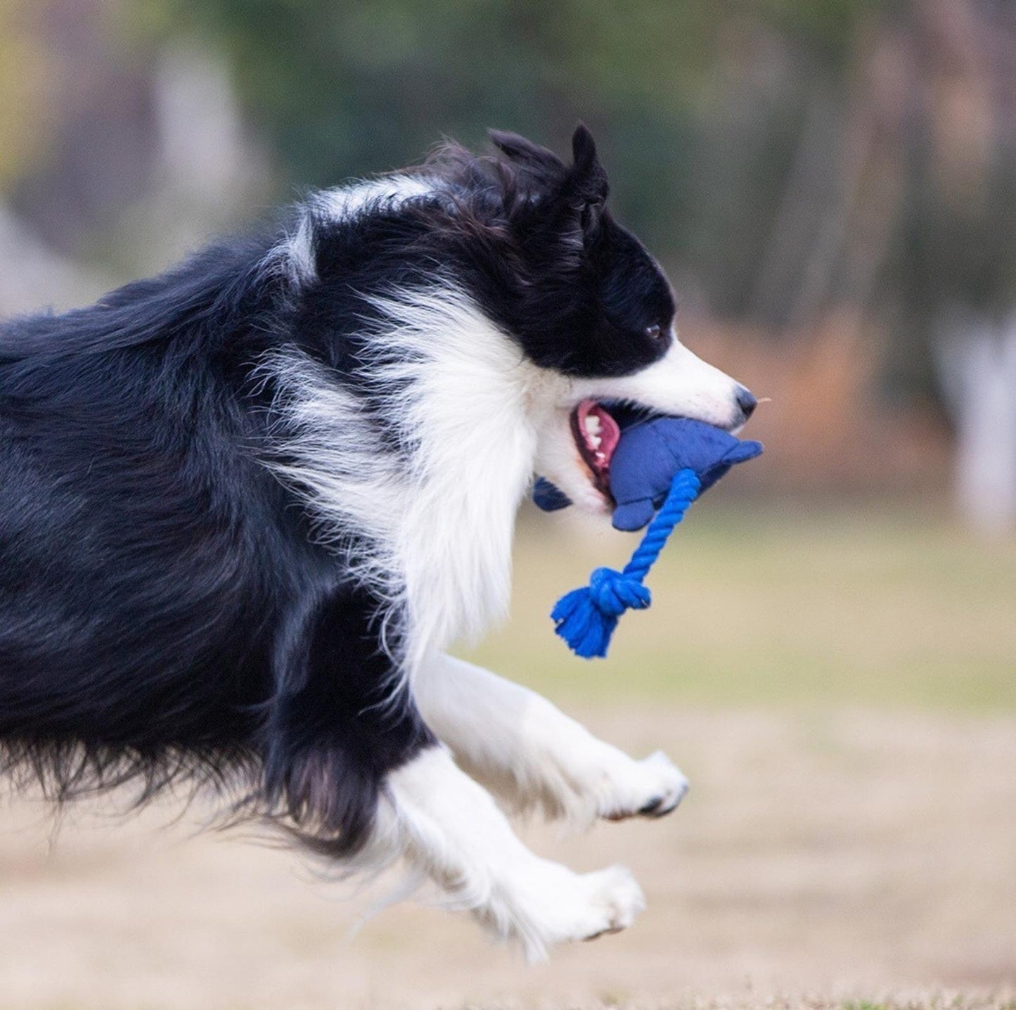 GiGwi Zoo Series - Canvas Tug Dog Toy with Squeaker - {{product.type}} - PawPawUp