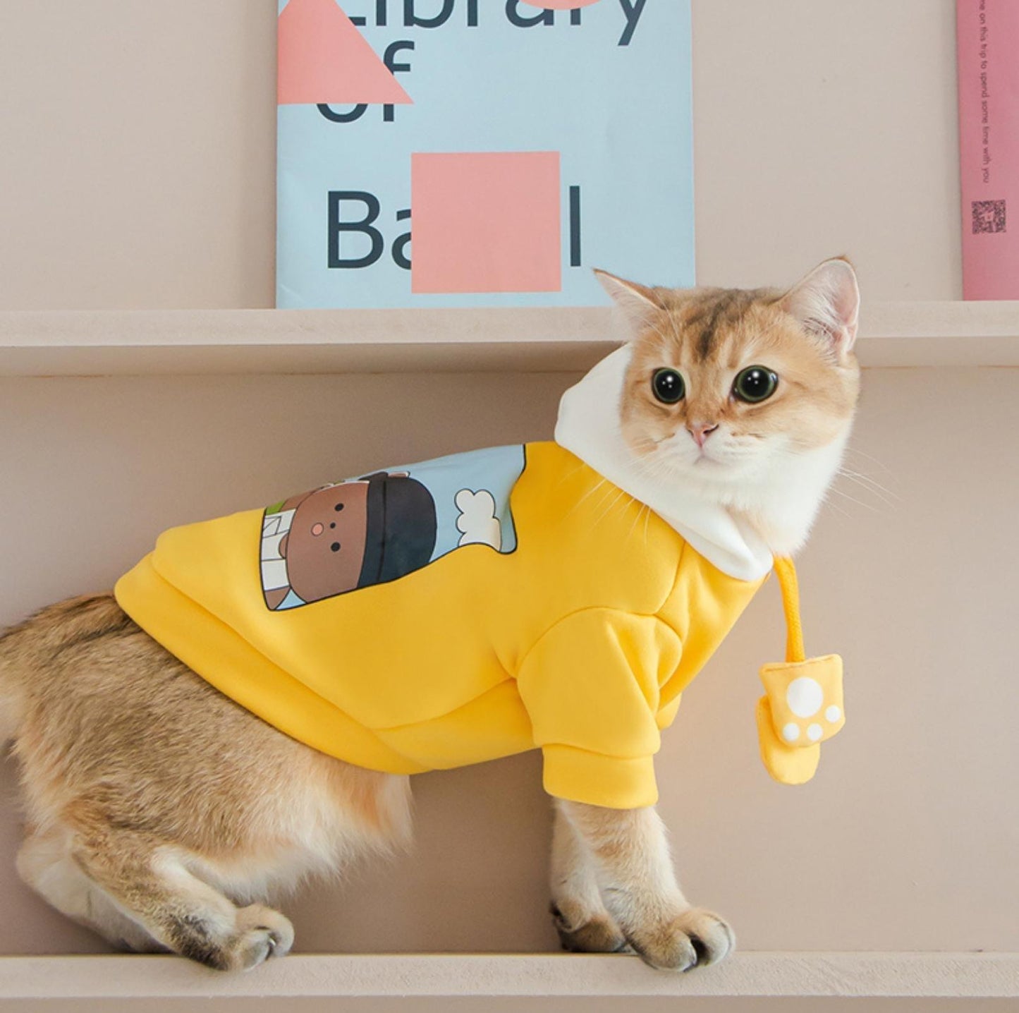 "Kindergarten Bear" Cartoon Pet T-shirt With Hood Pet Apparels - {{product.type}} - PawPawUp
