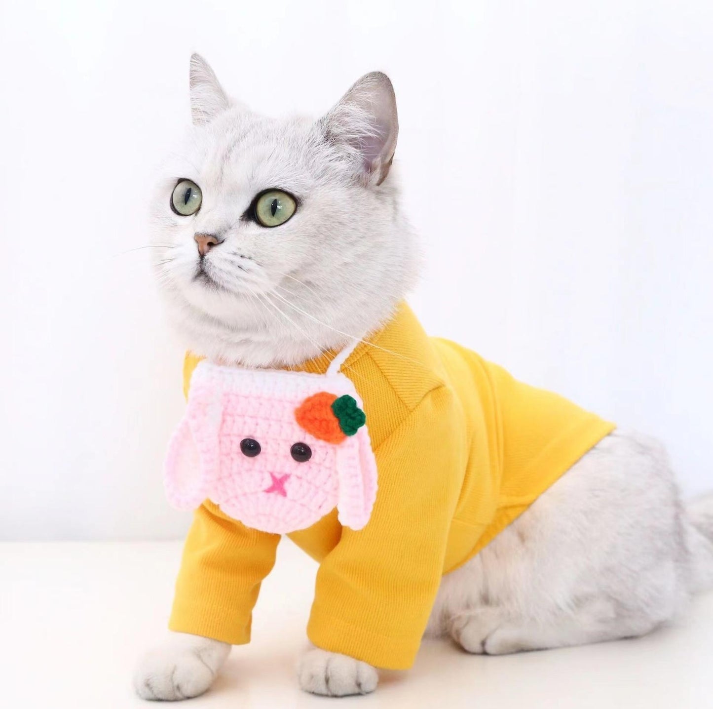 Knitted Cartoon Pet Self-Carrying Pack Style Accessory - {{product.type}} - PawPawUp