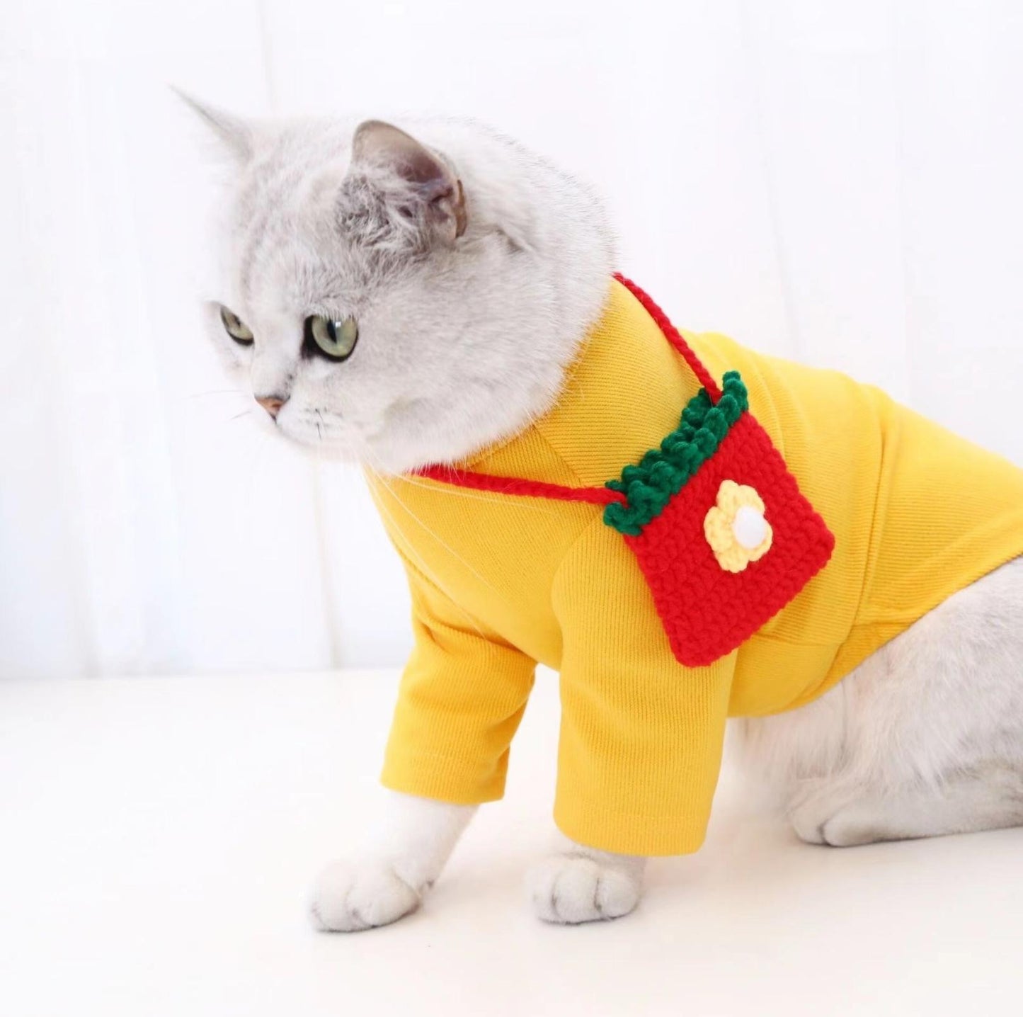 Knitted Cartoon Pet Self-Carrying Pack Style Accessory - {{product.type}} - PawPawUp