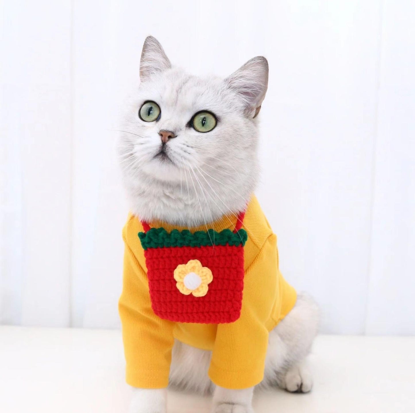 Knitted Cartoon Pet Self-Carrying Pack Style Accessory - {{product.type}} - PawPawUp