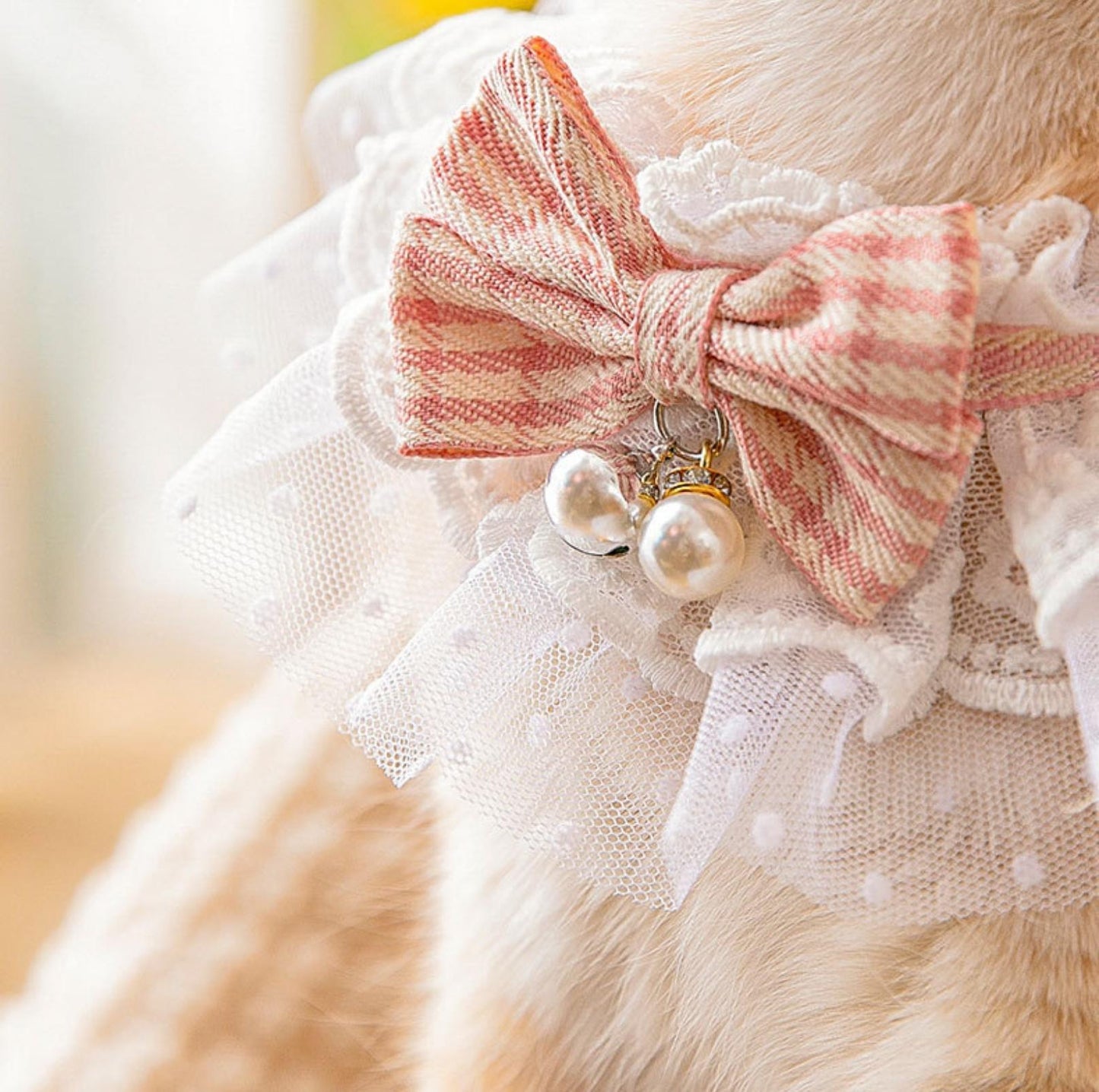 Lace-Decorated Plaid Bowtie Pet Bib with Bell - {{product.type}} - PawPawUp
