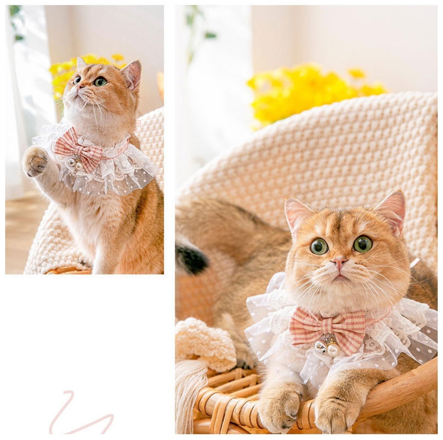 Lace-Decorated Plaid Bowtie Pet Bib with Bell - {{product.type}} - PawPawUp