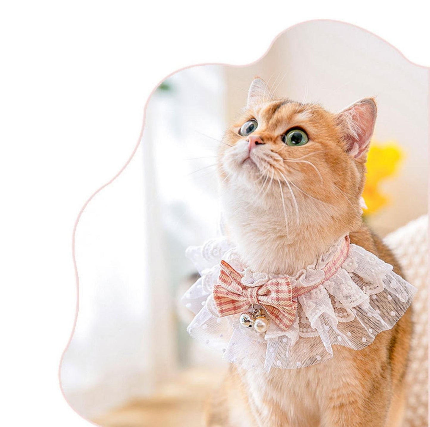 Lace-Decorated Plaid Bowtie Pet Bib with Bell - {{product.type}} - PawPawUp
