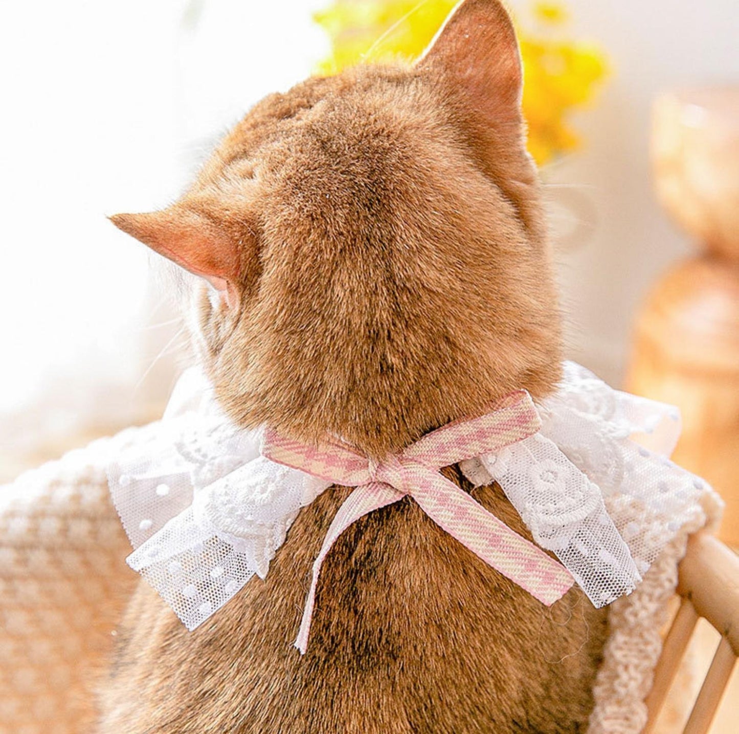 Lace-Decorated Plaid Bowtie Pet Bib with Bell - {{product.type}} - PawPawUp