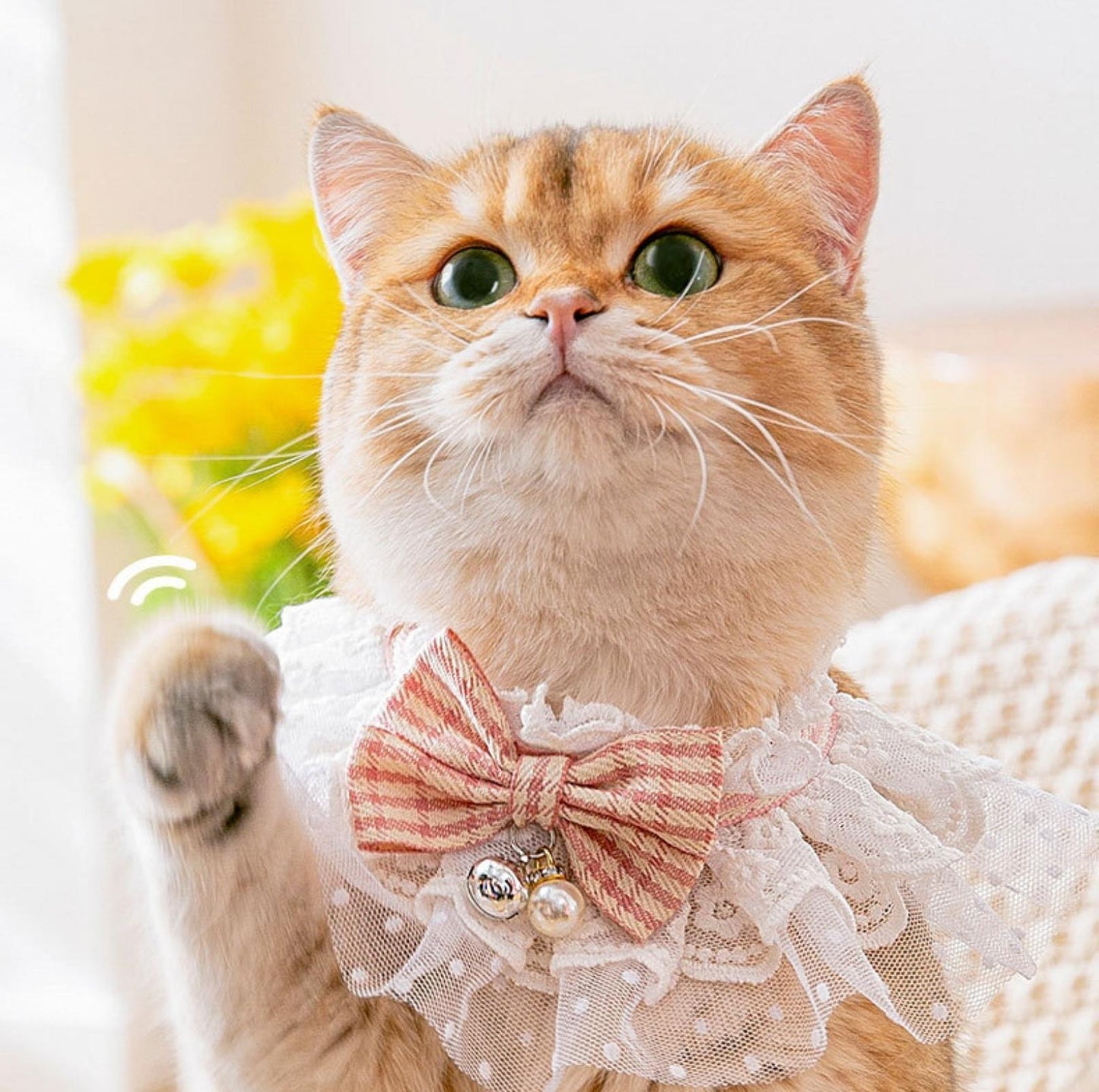 Lace-Decorated Plaid Bowtie Pet Bib with Bell - {{product.type}} - PawPawUp