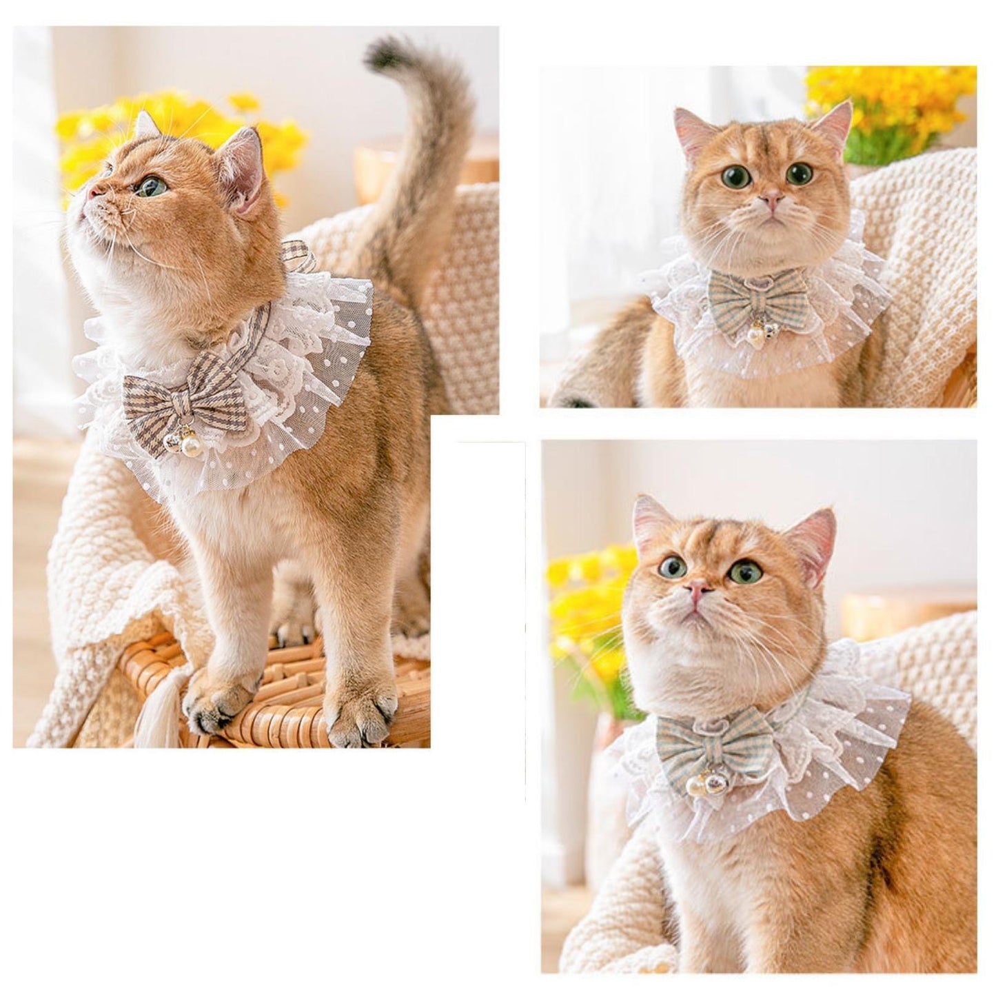 Lace-Decorated Plaid Bowtie Pet Bib with Bell - {{product.type}} - PawPawUp