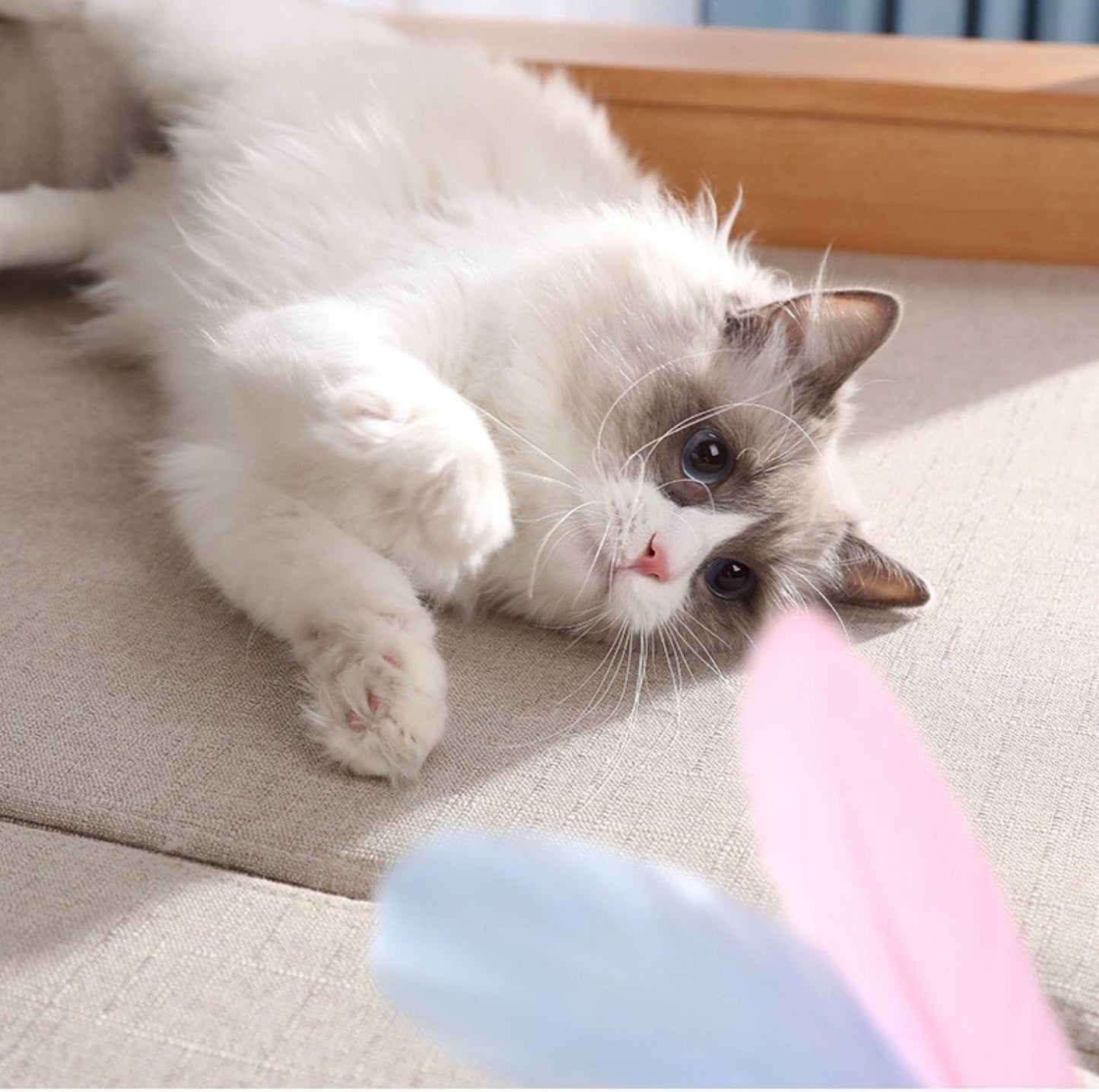 Laser Feather Cat Stick Cat Toys - {{product.type}} - PawPawUp