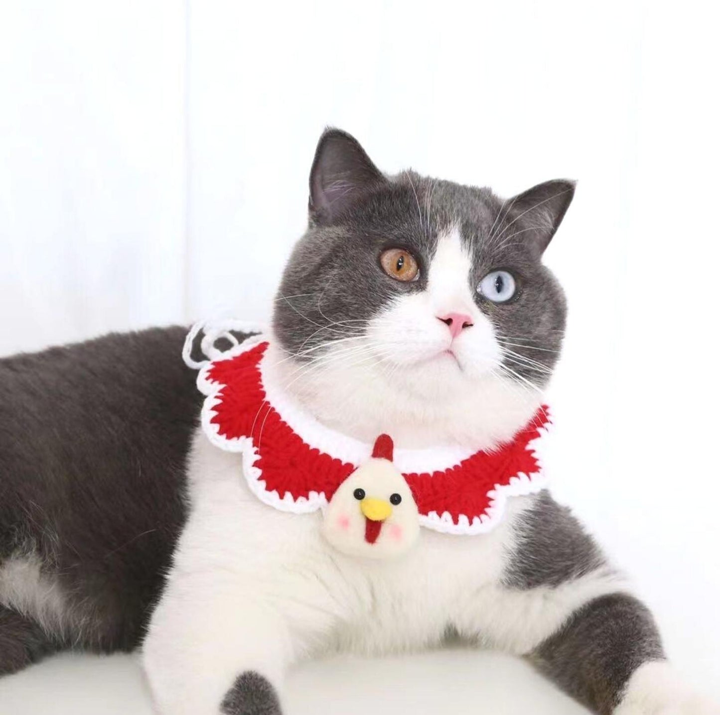 Little Animal Friends Style Knitted Woolen Bibs for Pets - {{product.type}} - PawPawUp