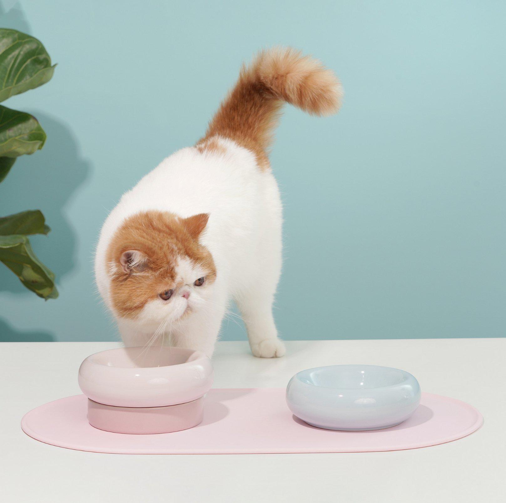 Makesure Dual-Layer Ceramic Pet Bowls Cat and Small Dog Bowls
