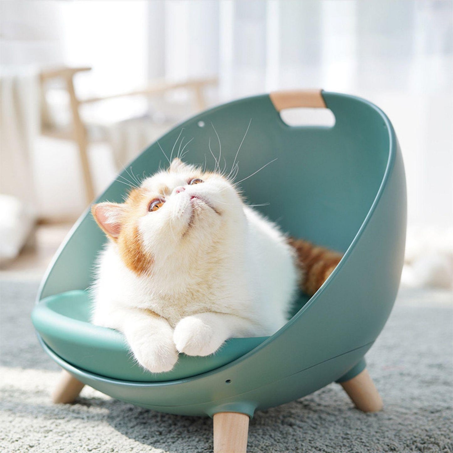 Makesure DAFU 4in1 Cat Bed Sofa with Hanging Stripe and Cushion - {{product.type}} - PawPawUp